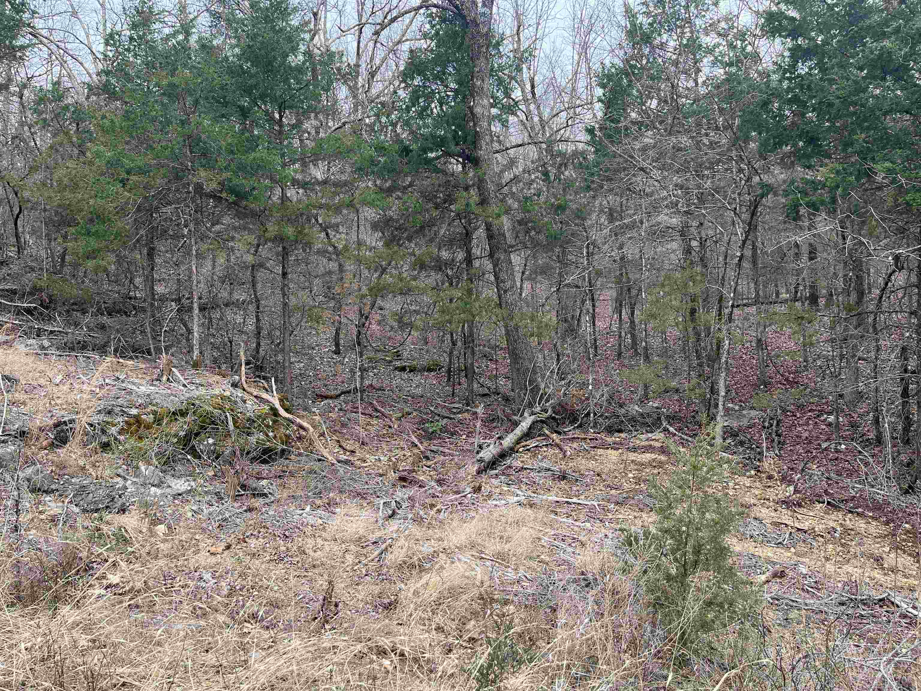 Tbd Isleta Drive Property Photo 4
