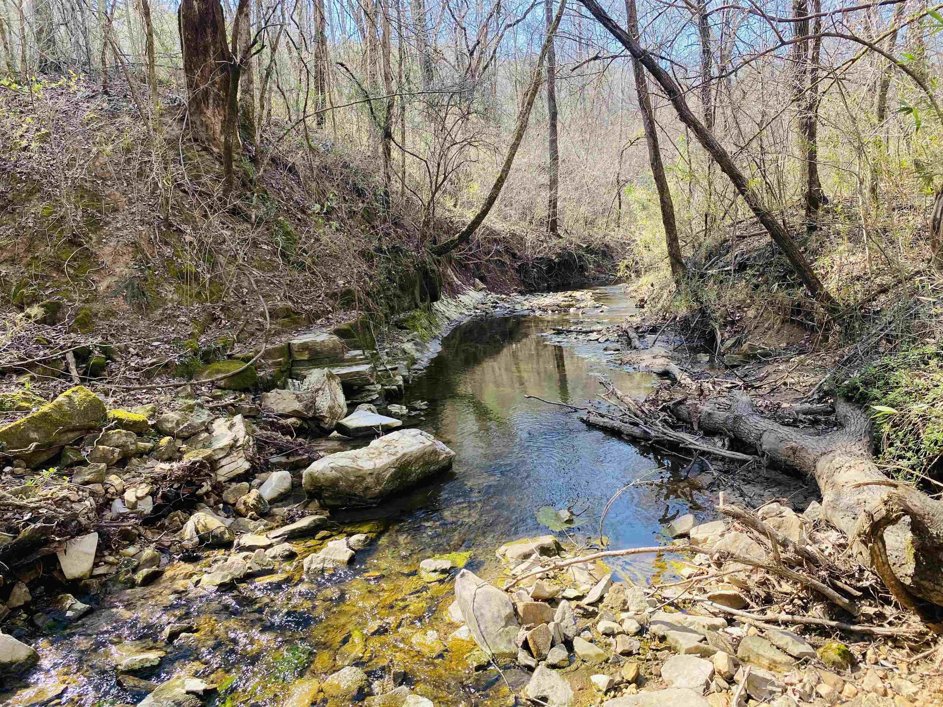 222 Culp Road Property Photo 5