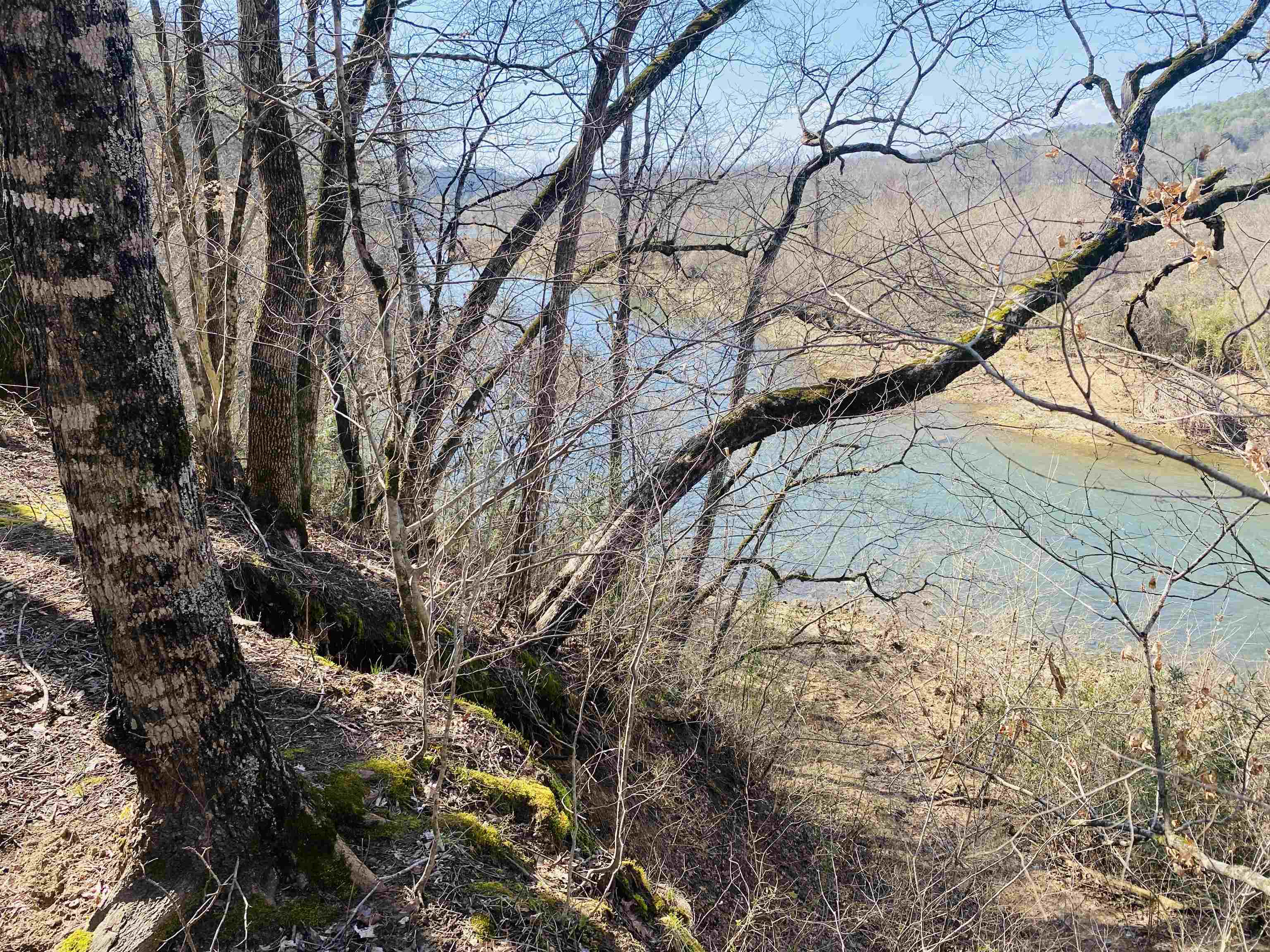 222 Culp Road Property Photo 7