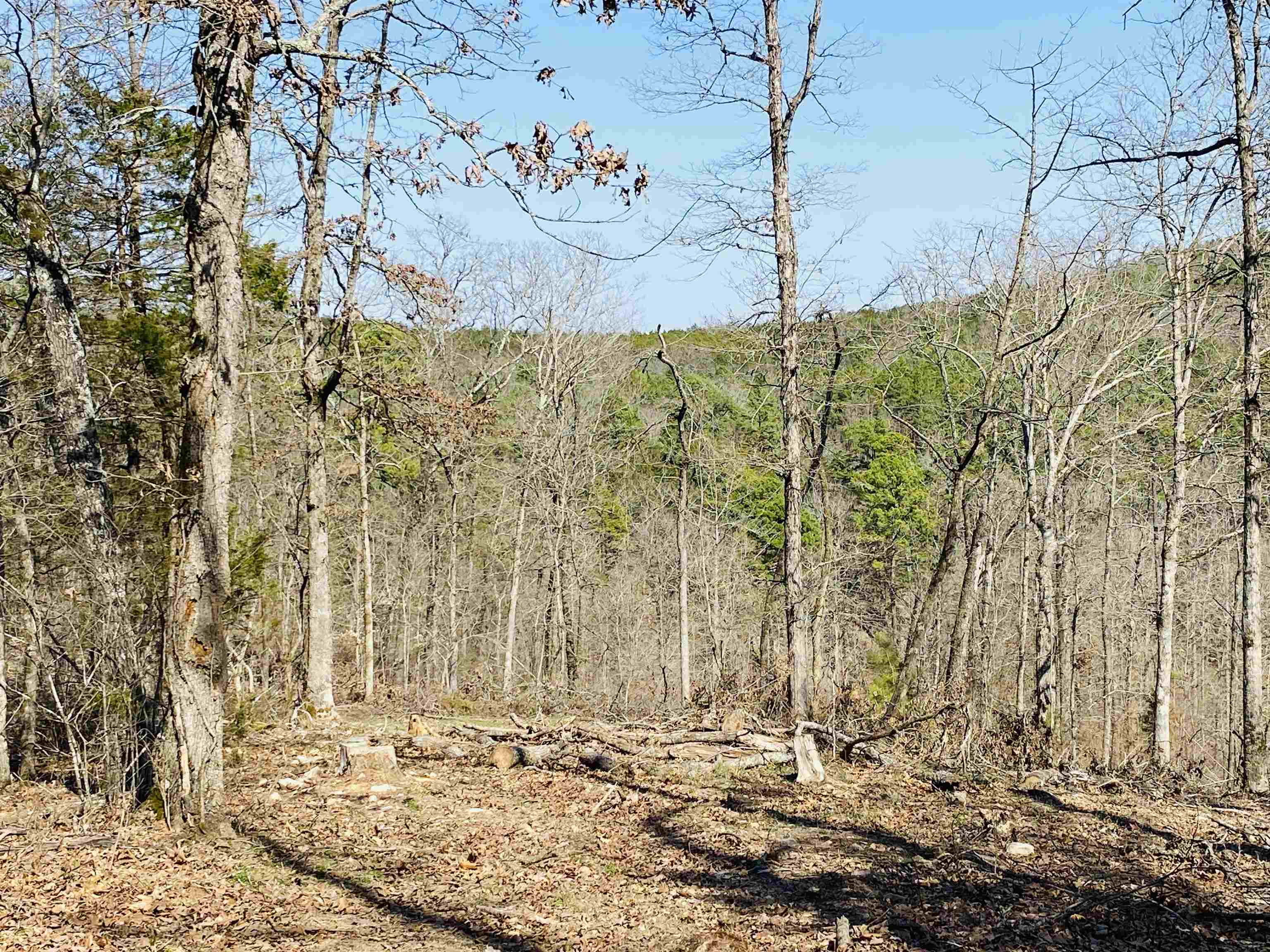 222 Culp Road Property Photo 10