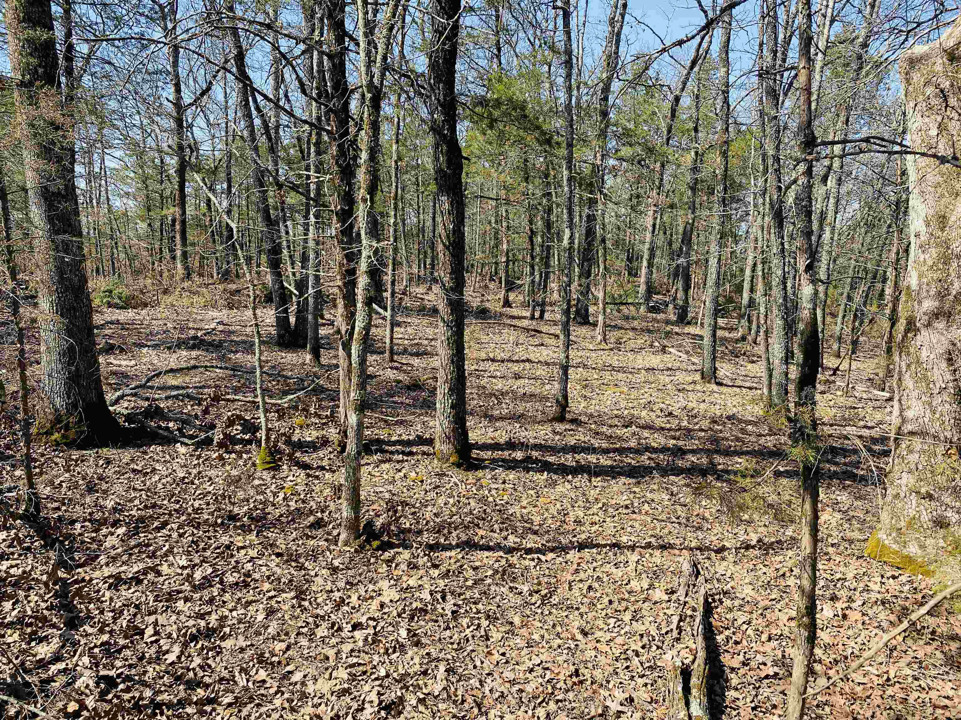 222 Culp Road Property Photo 13
