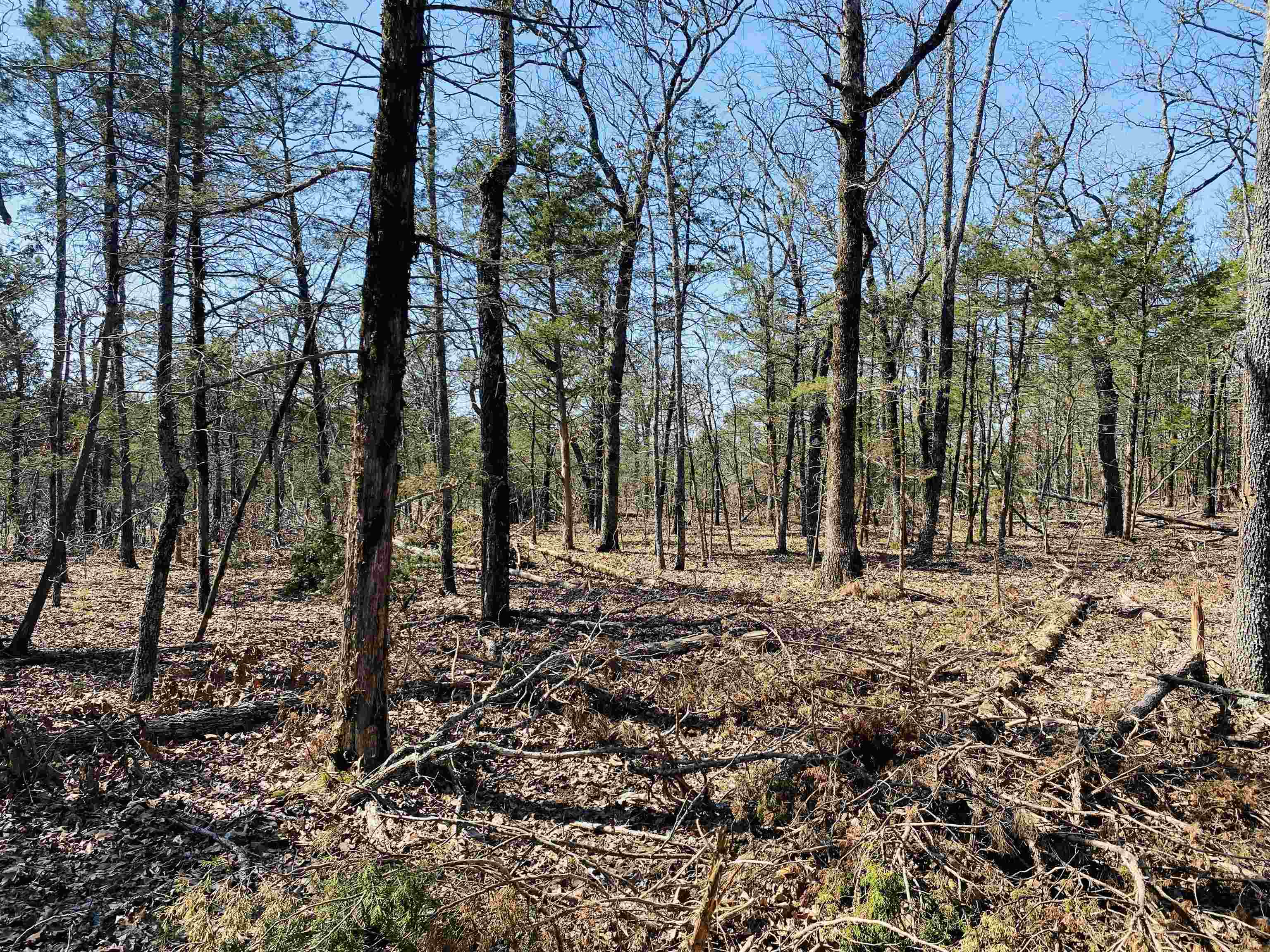 222 Culp Road Property Photo 14