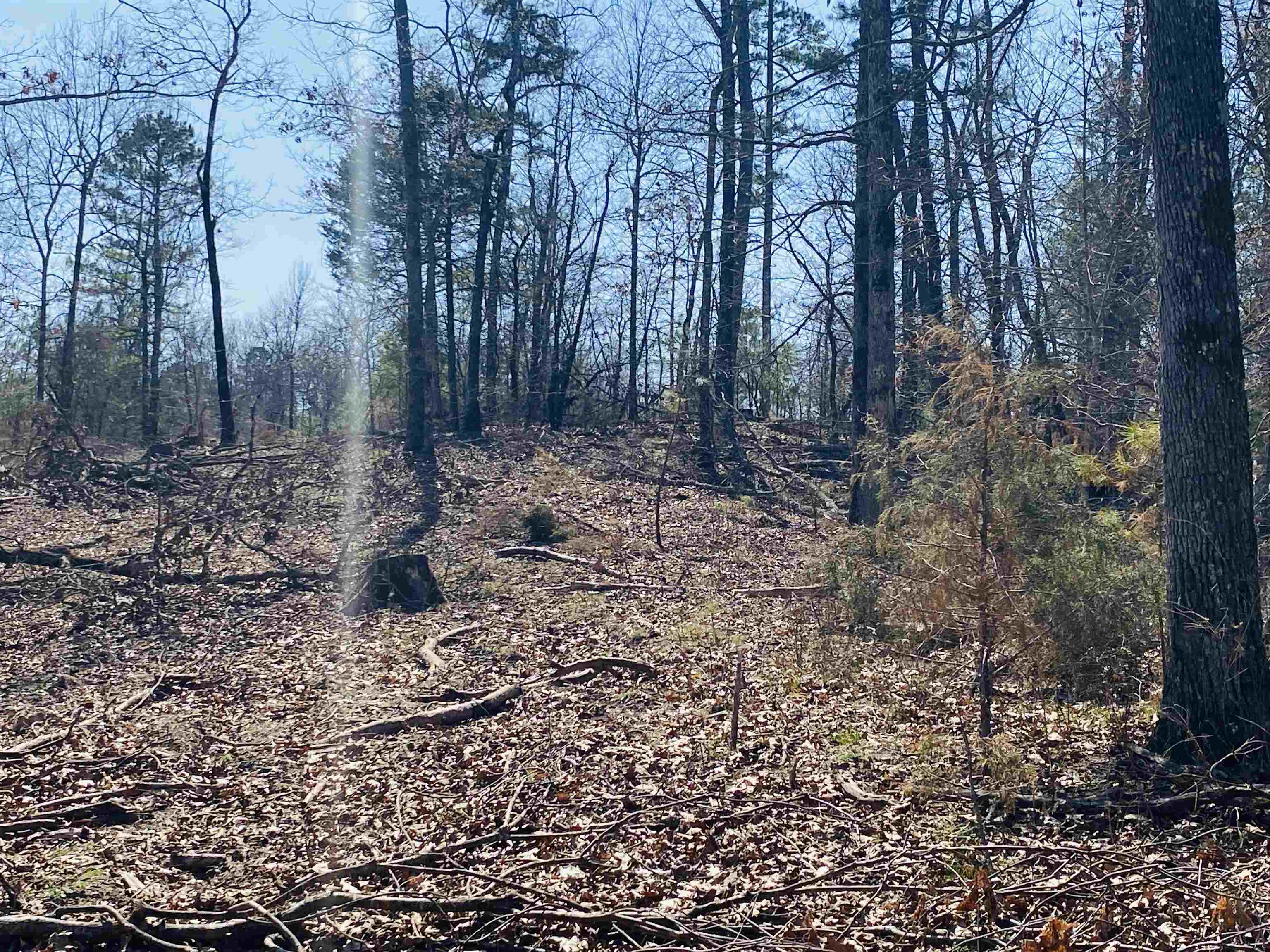 222 Culp Road Property Photo 20
