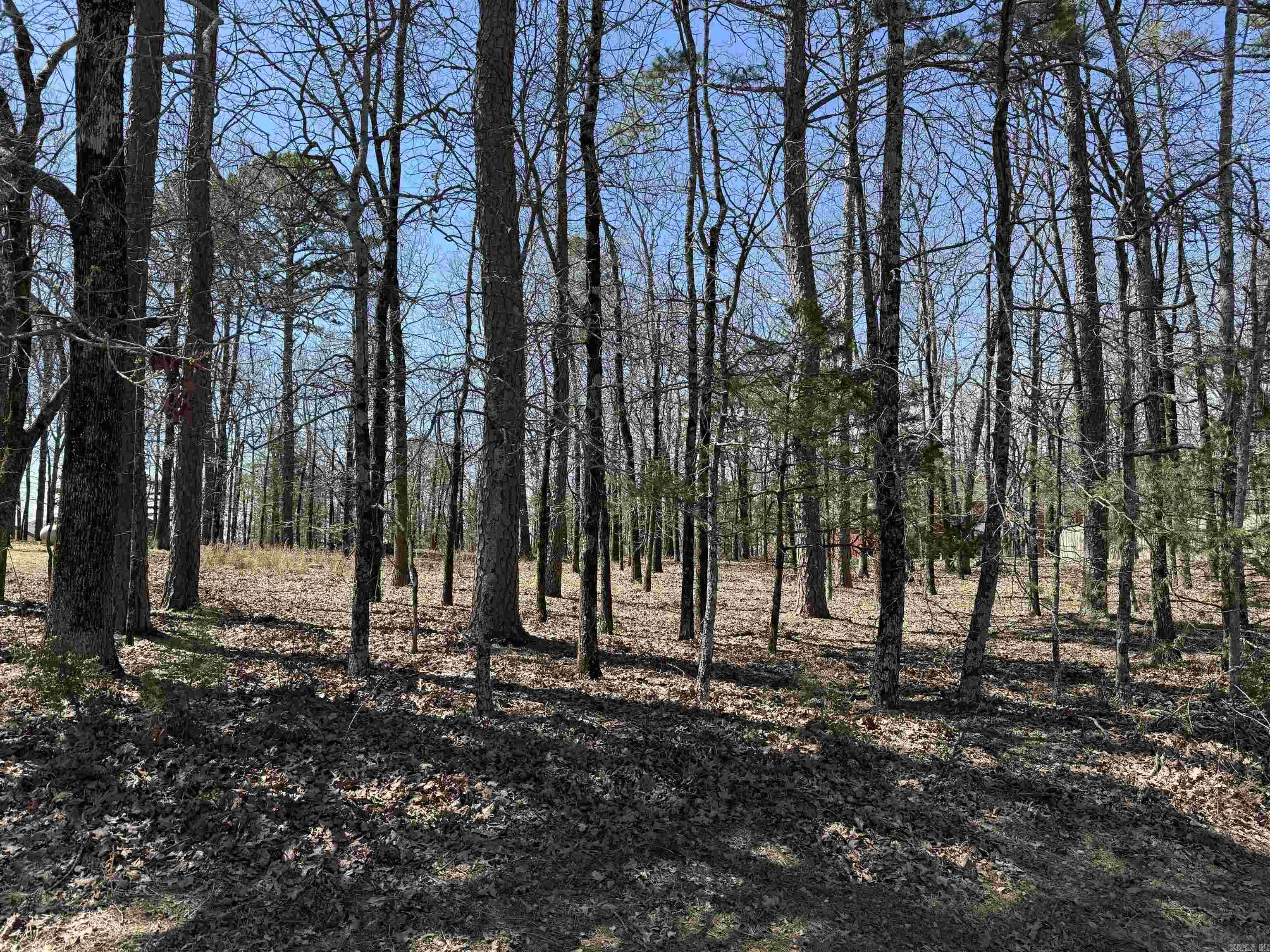 000 Eagle Ridge Trace Property Photo 1