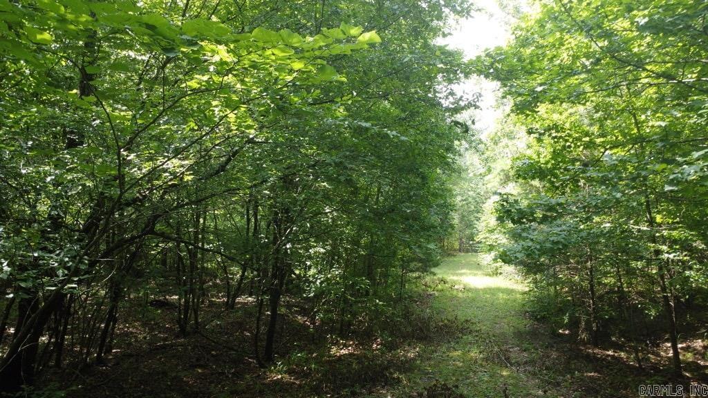 Tbd Markerville Road Property Photo 1