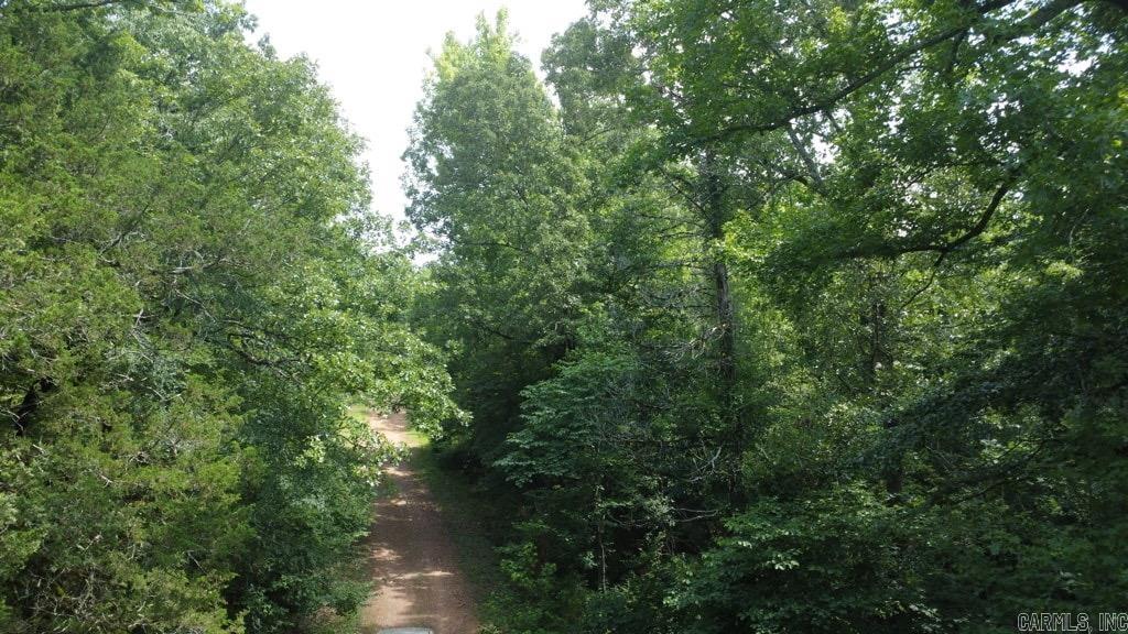 Tbd Markerville Road Property Photo 2