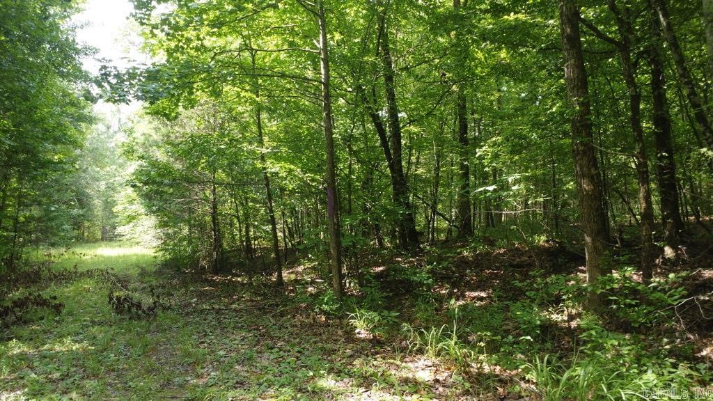 Tbd Markerville Road Property Photo 4