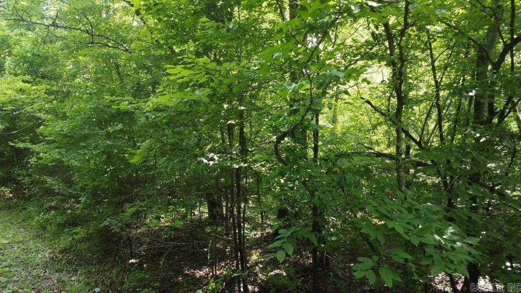 Tbd Markerville Road Property Photo 5
