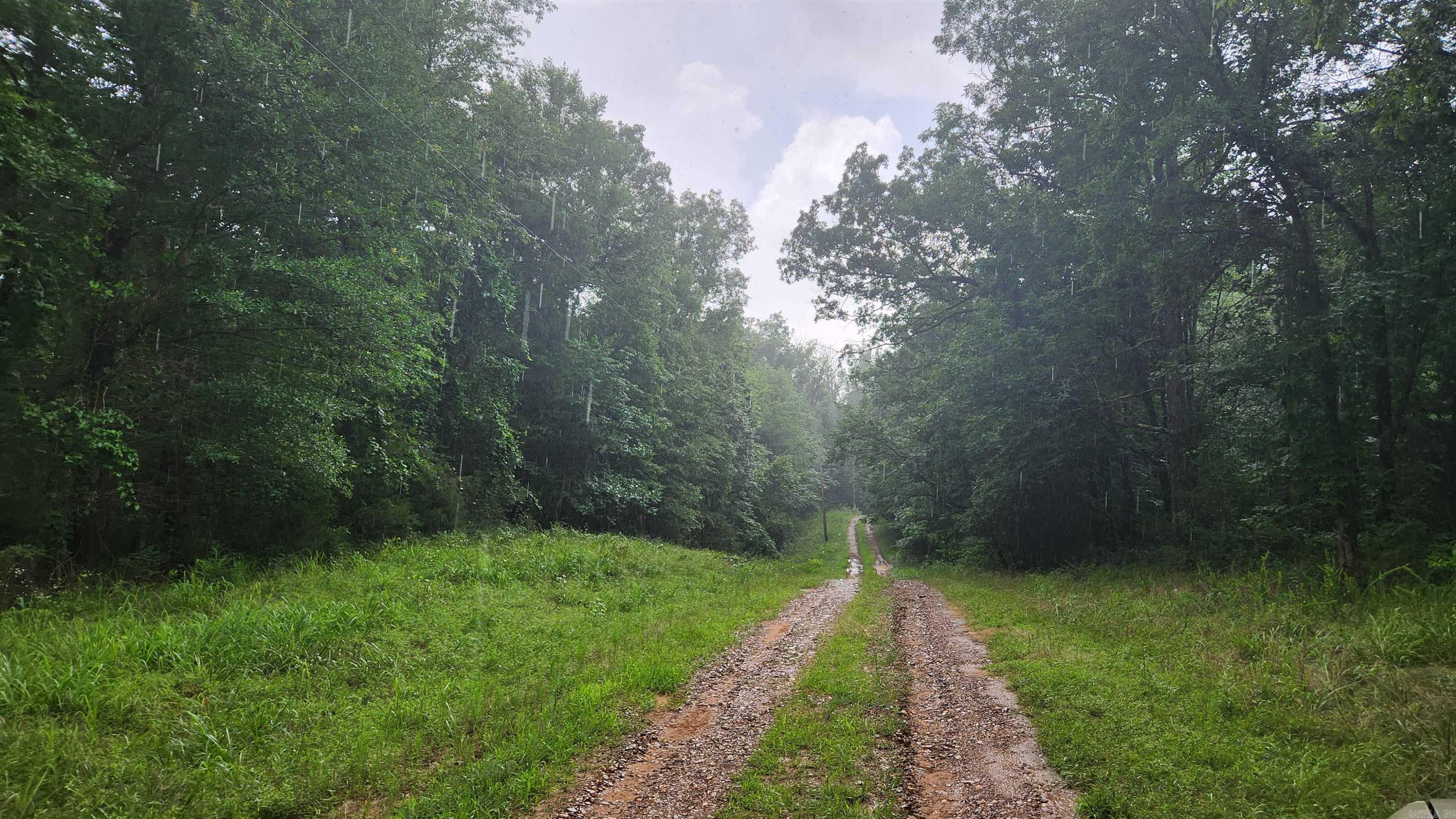 Tbd Markerville Road Property Photo 9
