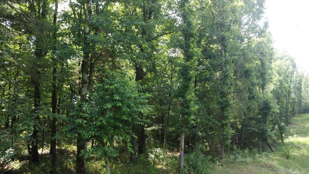 Tbd Markerville Road Property Photo 10