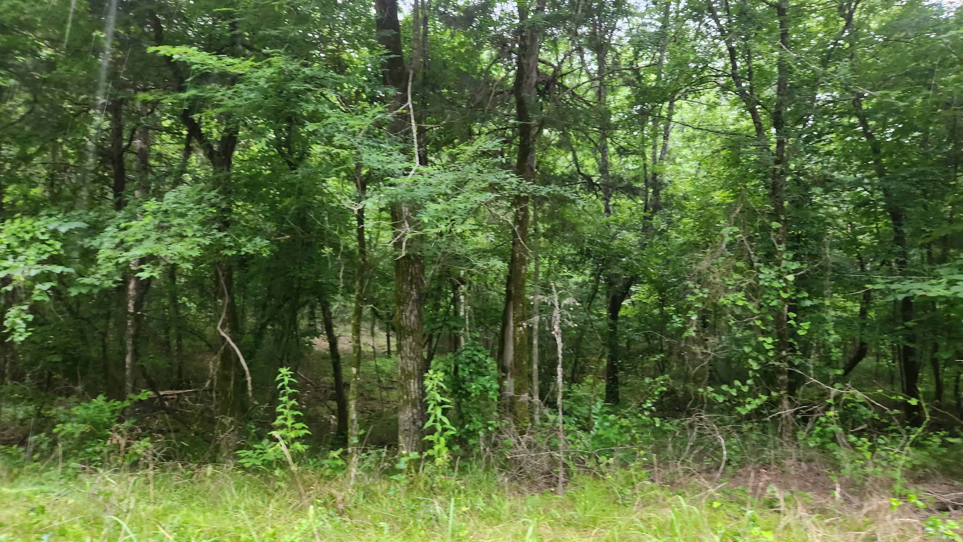 Tbd Markerville Road Property Photo 13