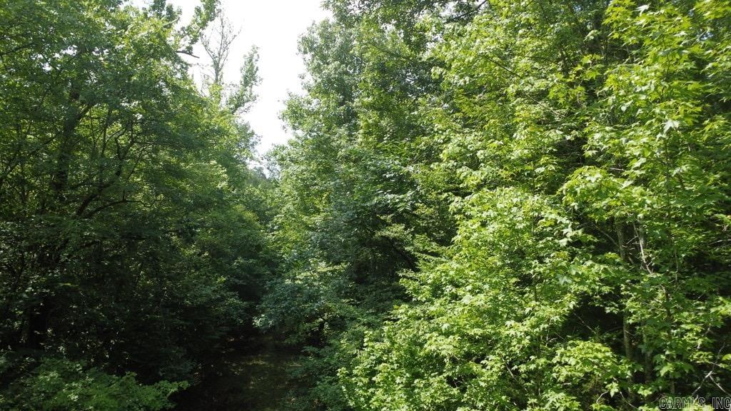 Tbd Markerville Road Property Photo 17