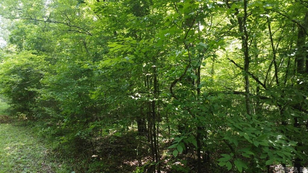 Tbd Markerville Road Property Photo 19