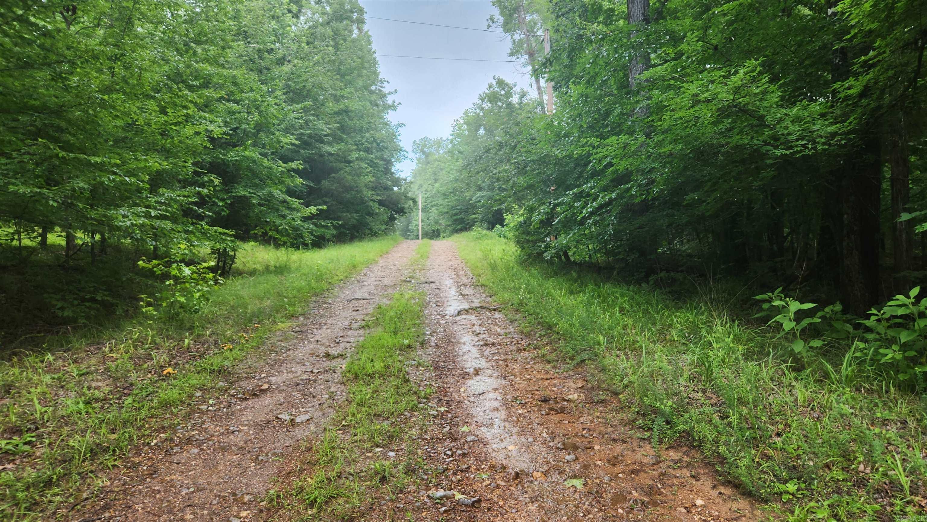 Tbd Markerville Road Property Photo 22