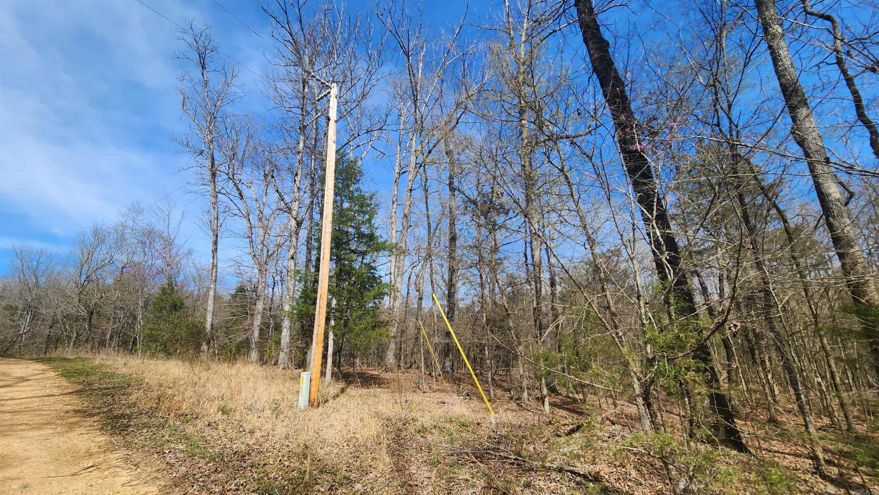 Tbd Markerville Road Property Photo 24