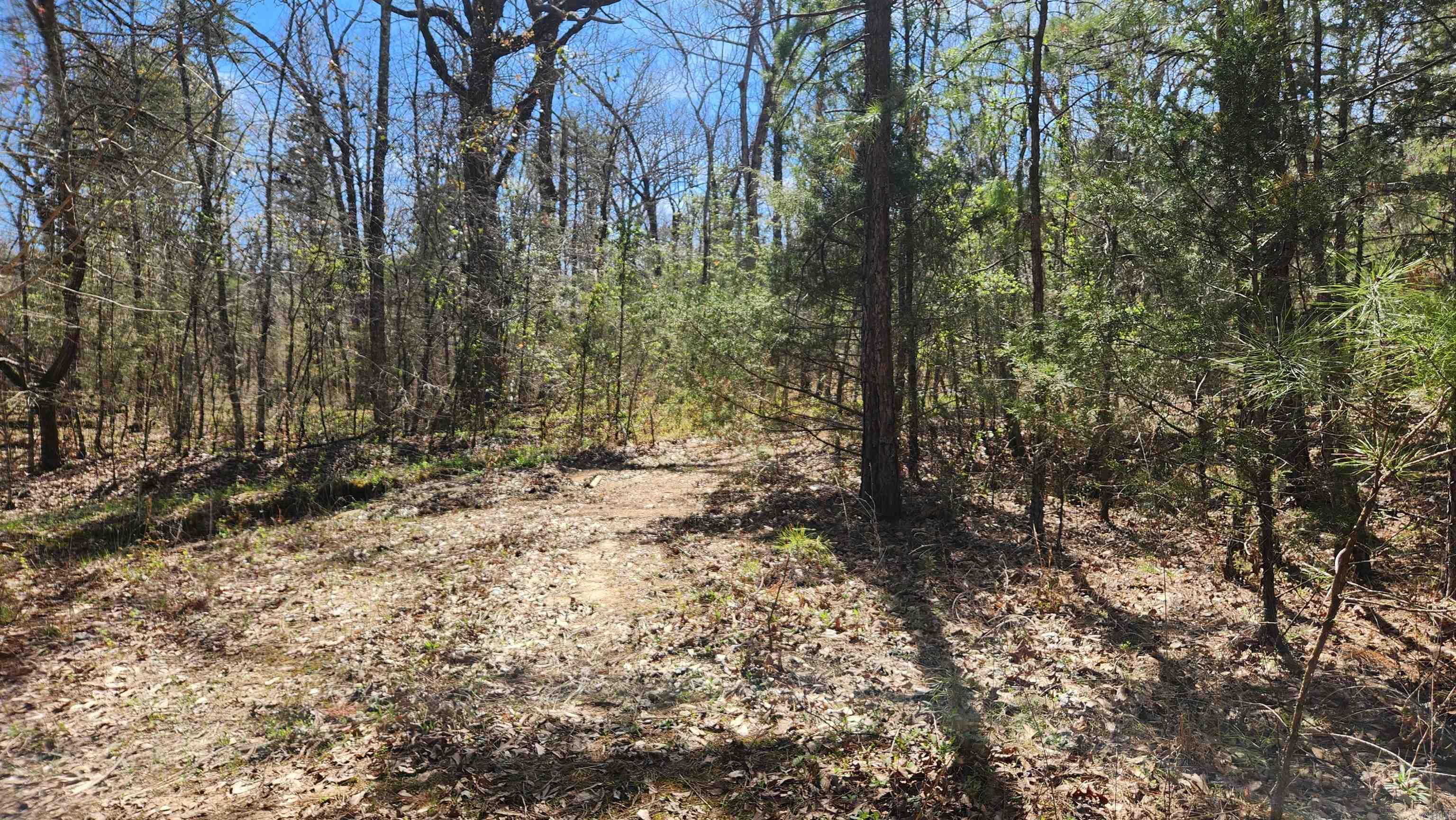 Tbd Markerville Road Property Photo 28