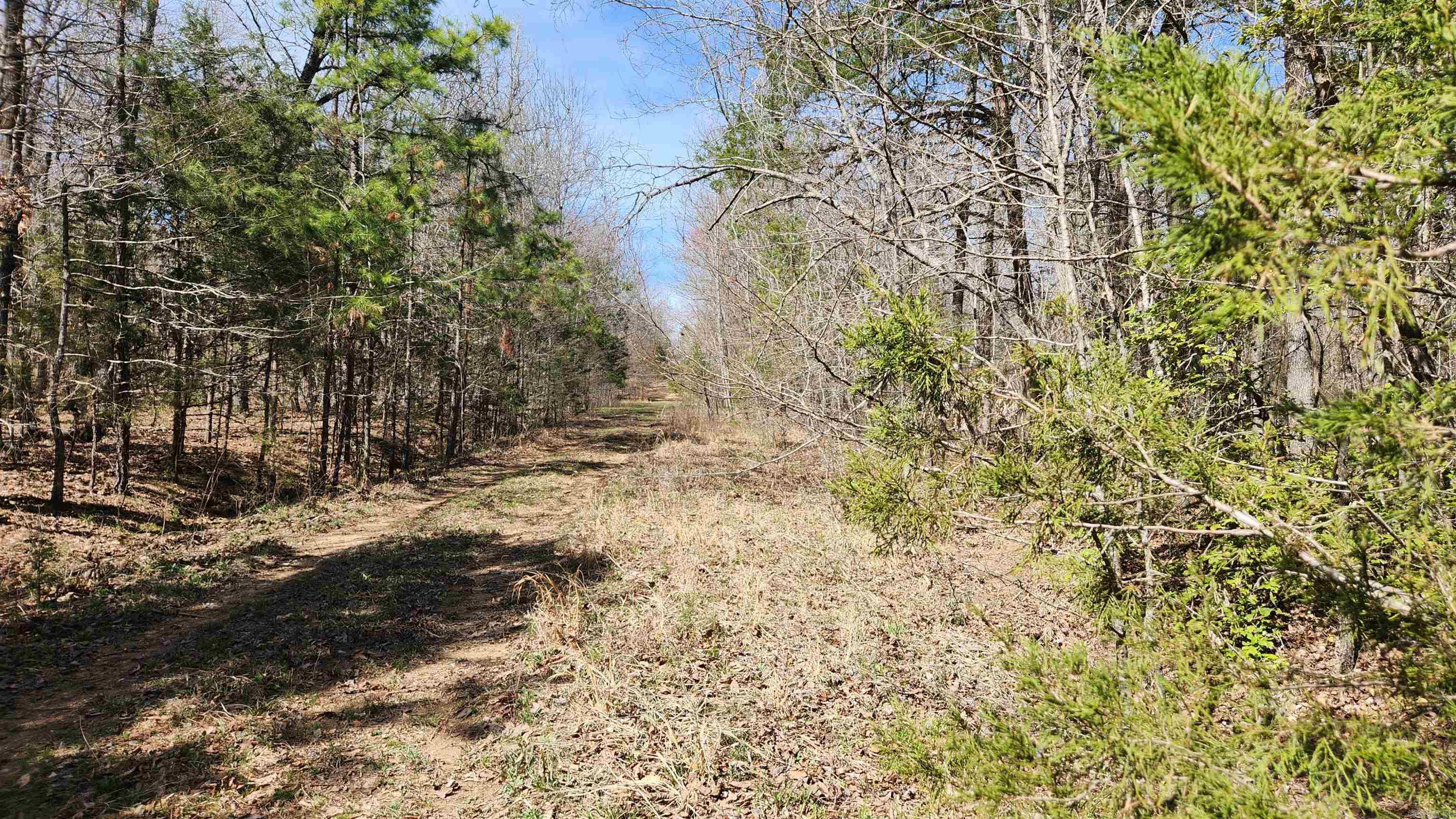 Tbd Markerville Road Property Photo 32