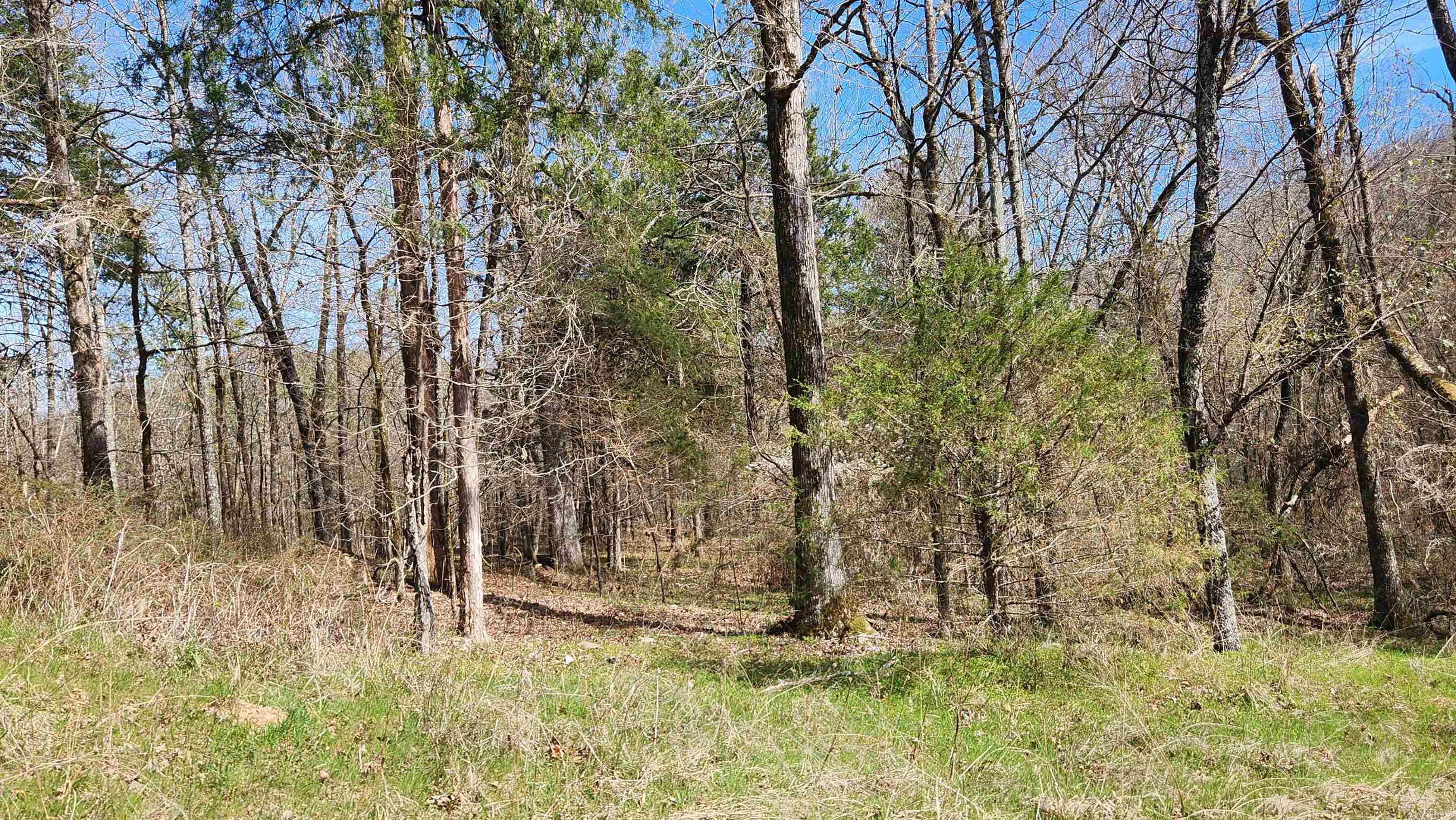 Tbd Markerville Road Property Photo 33