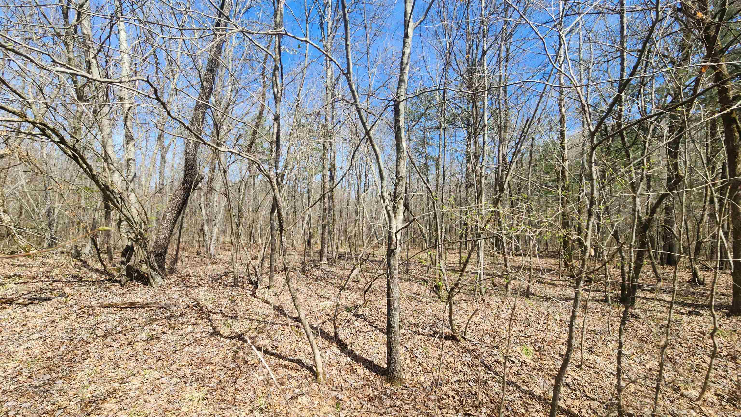 Tbd Markerville Road Property Photo 38