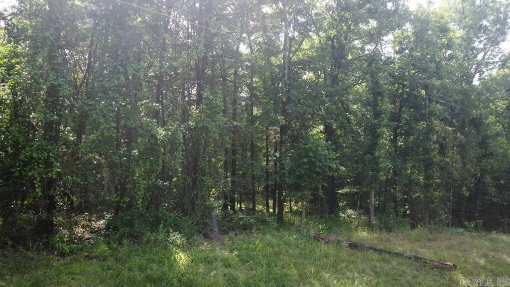Tbd Markerville Road Property Photo 39