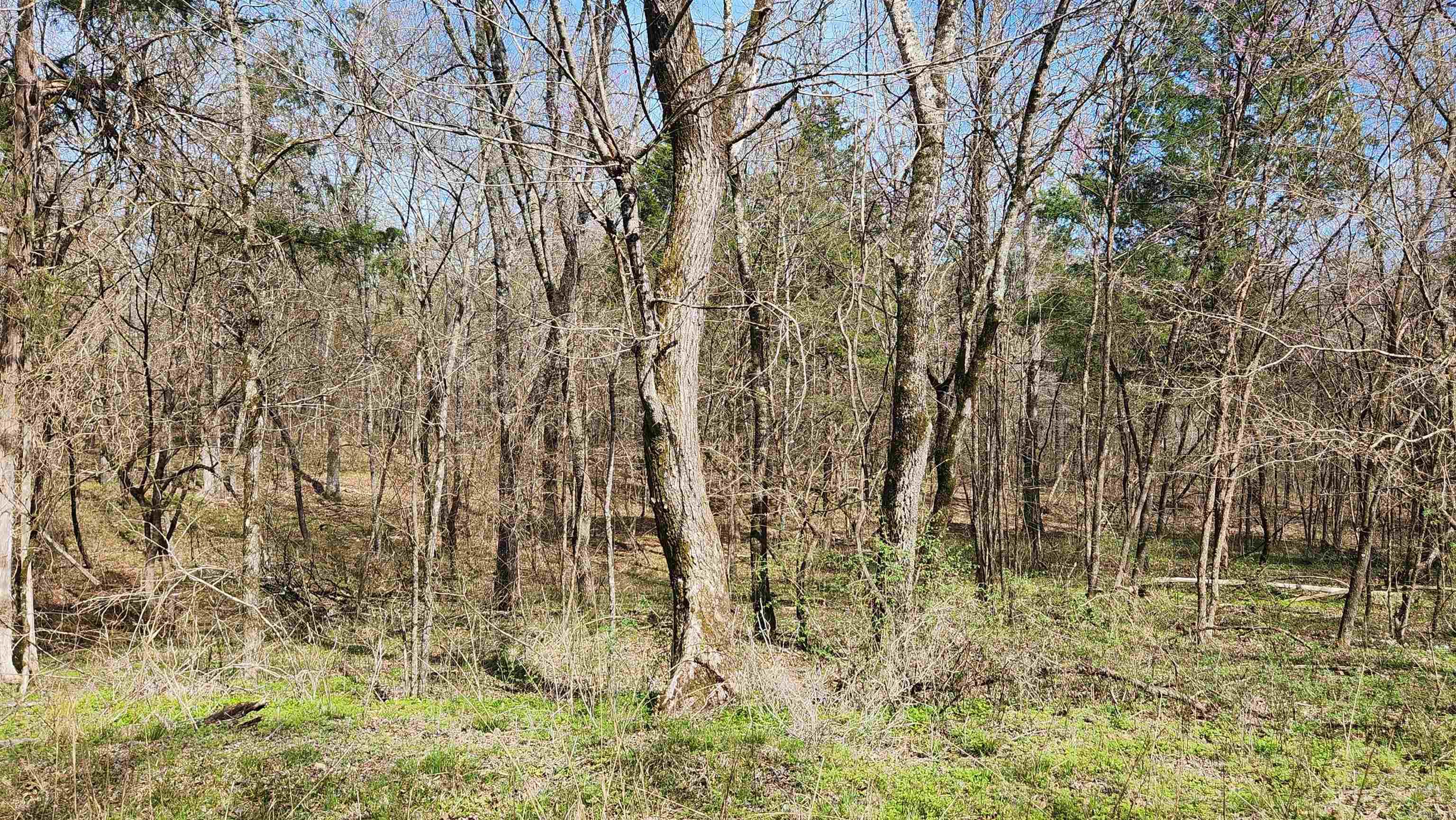 Tbd Markerville Road Property Photo 40