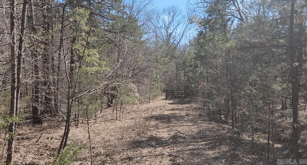 Tbd Markerville Road Property Photo 44