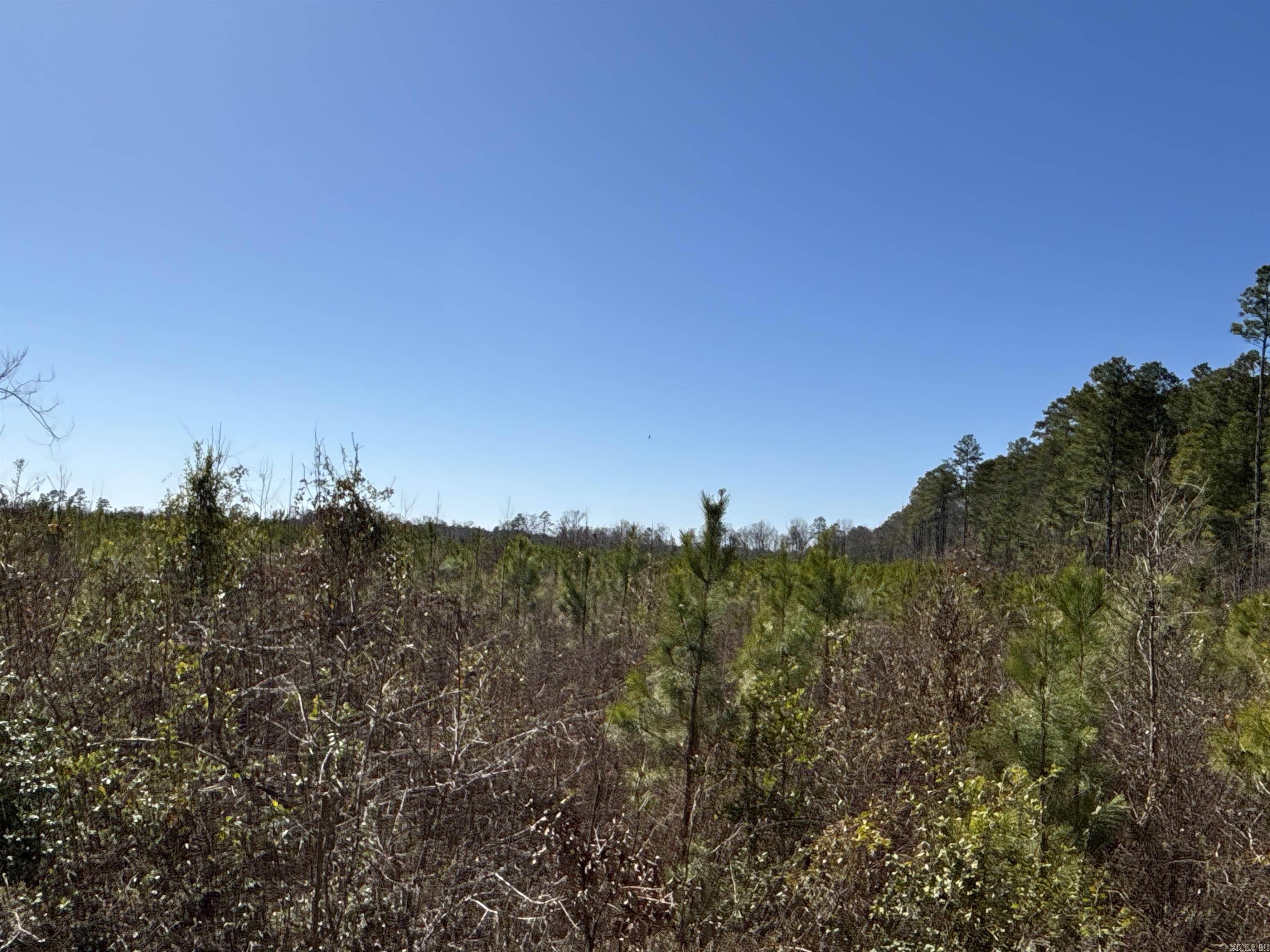 1 Palmetto Rd Property Photo 2