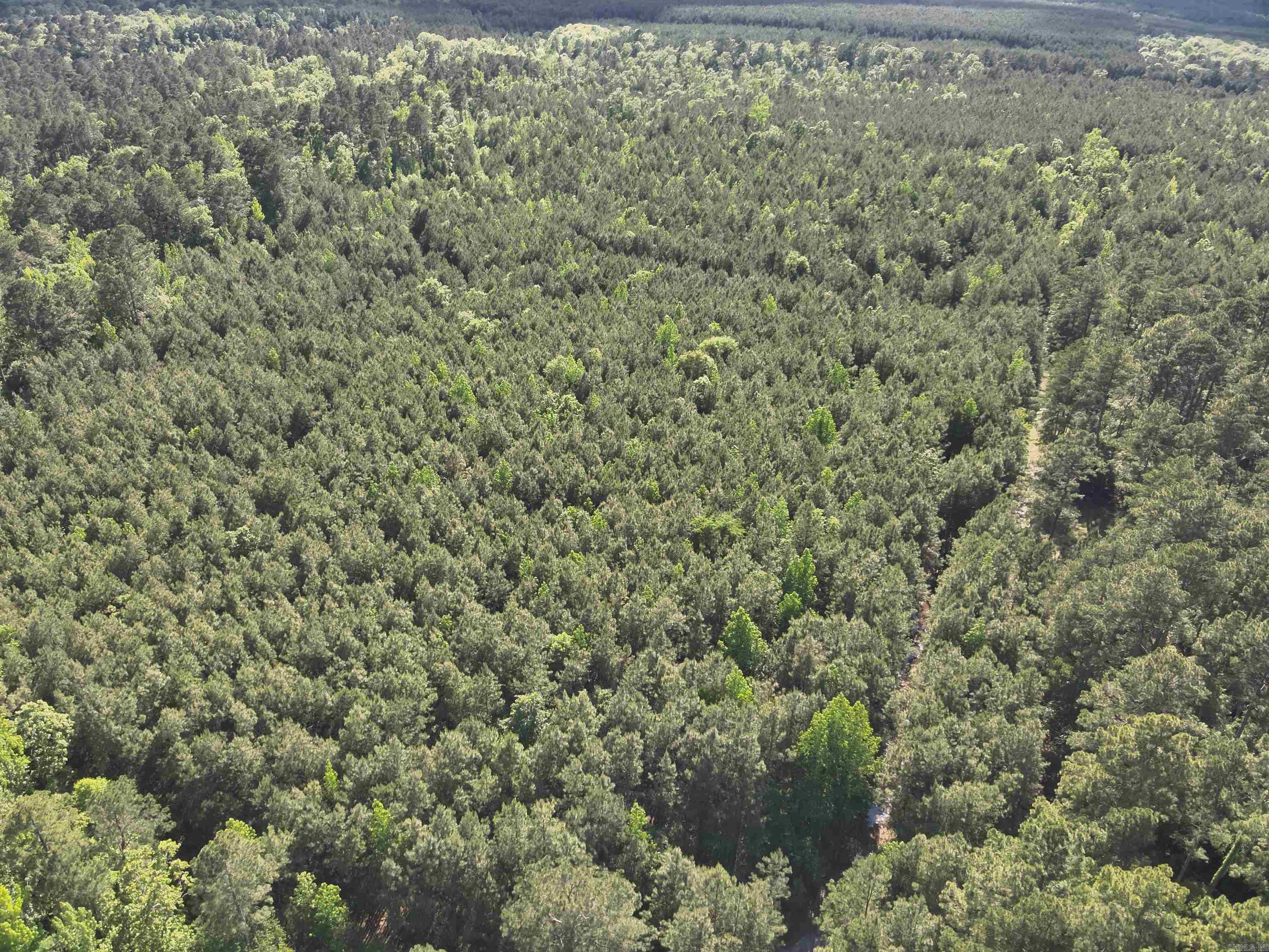1 West Ouachita Hwy 7 Property Photo 2