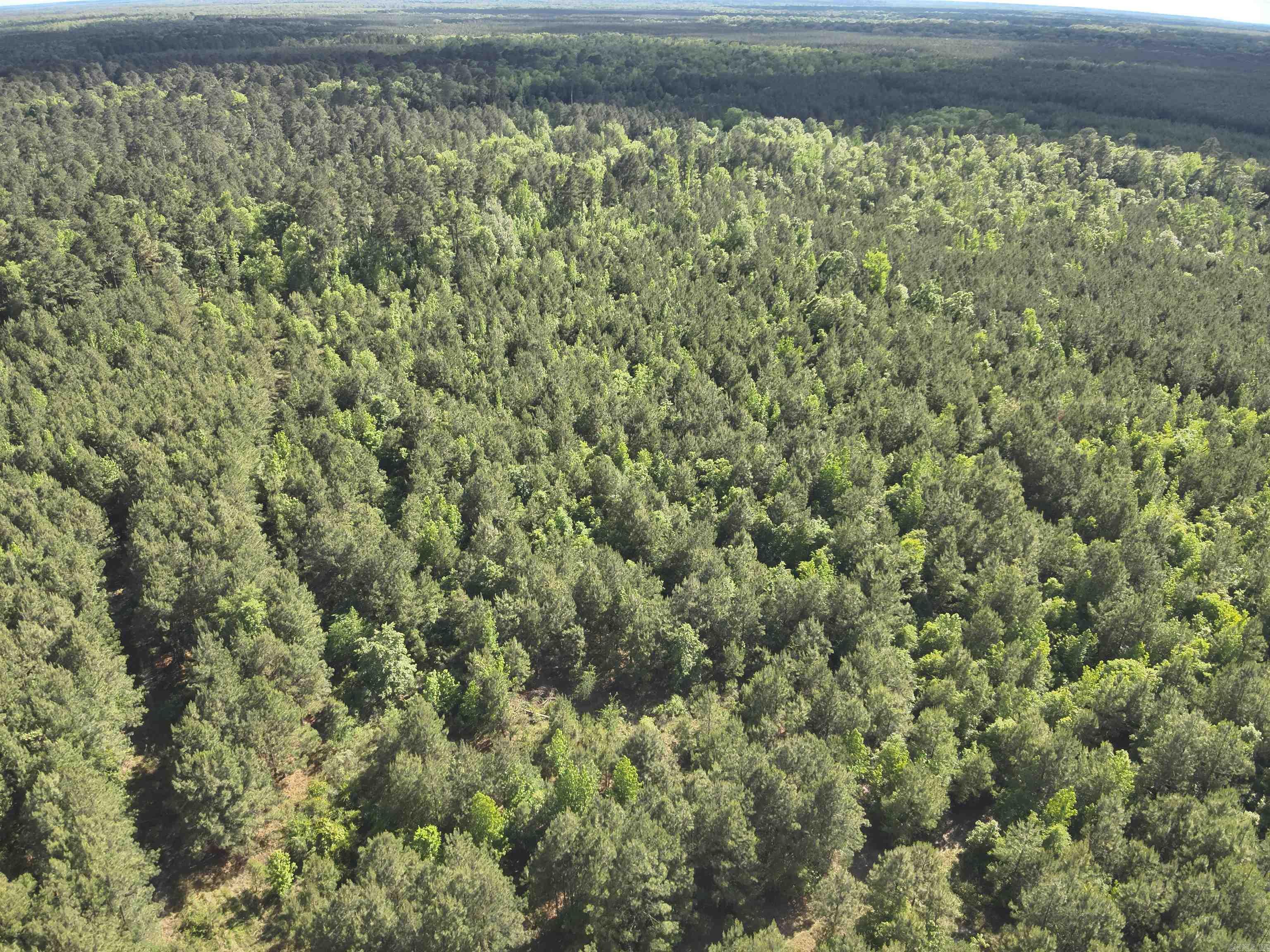 1 West Ouachita Hwy 7 Property Photo 3