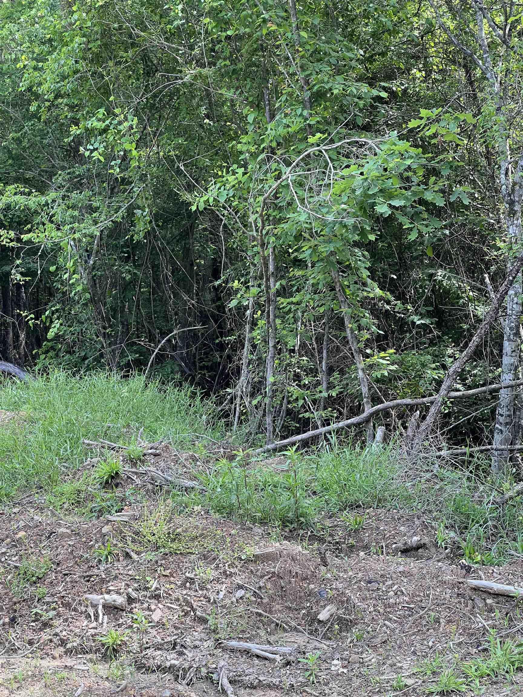 Tract #11 Castle Property Photo 2