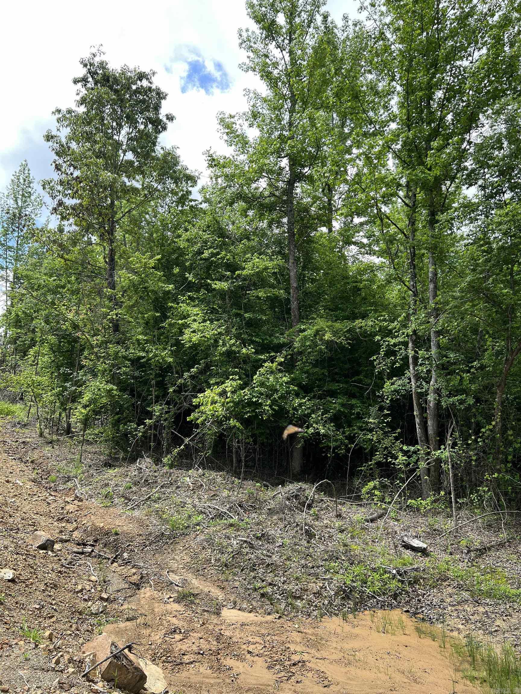 Tract #11 Castle Property Photo 3