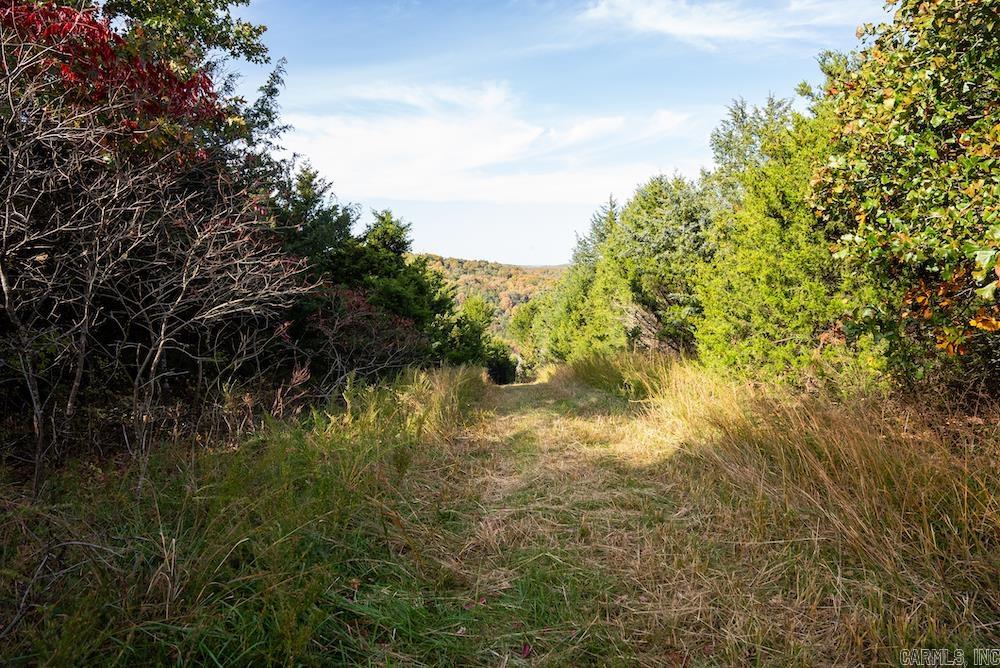 N/a Cr 663 Property Photo 4