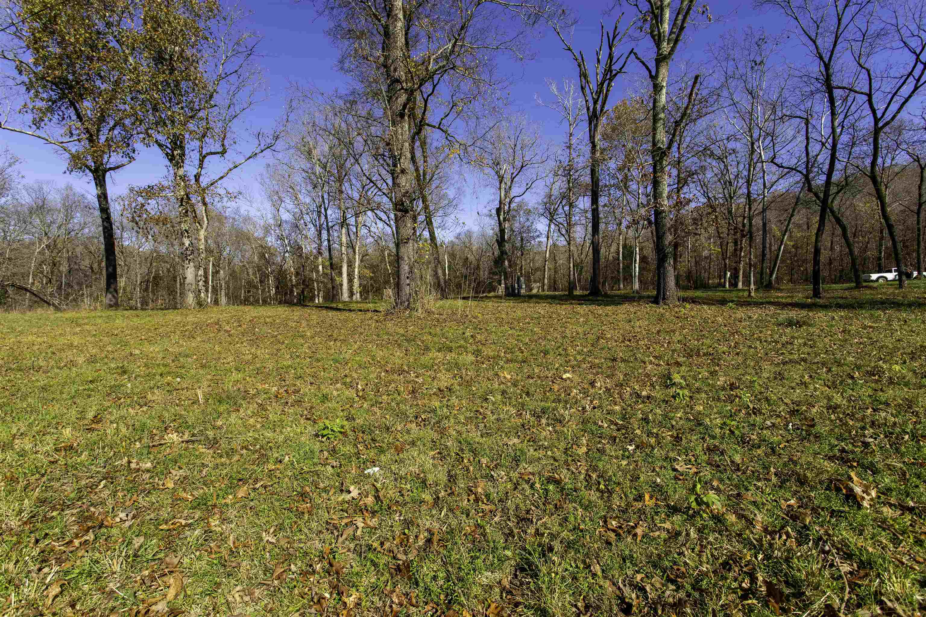 Tbd River Trace Property Photo 3