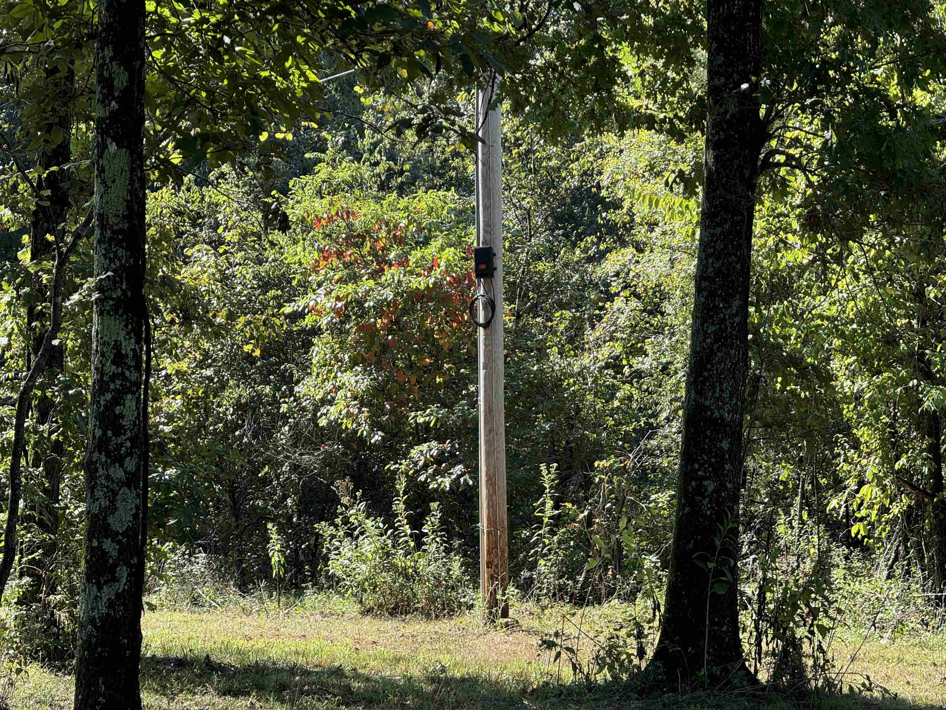 Tbd River Trace Property Photo 12