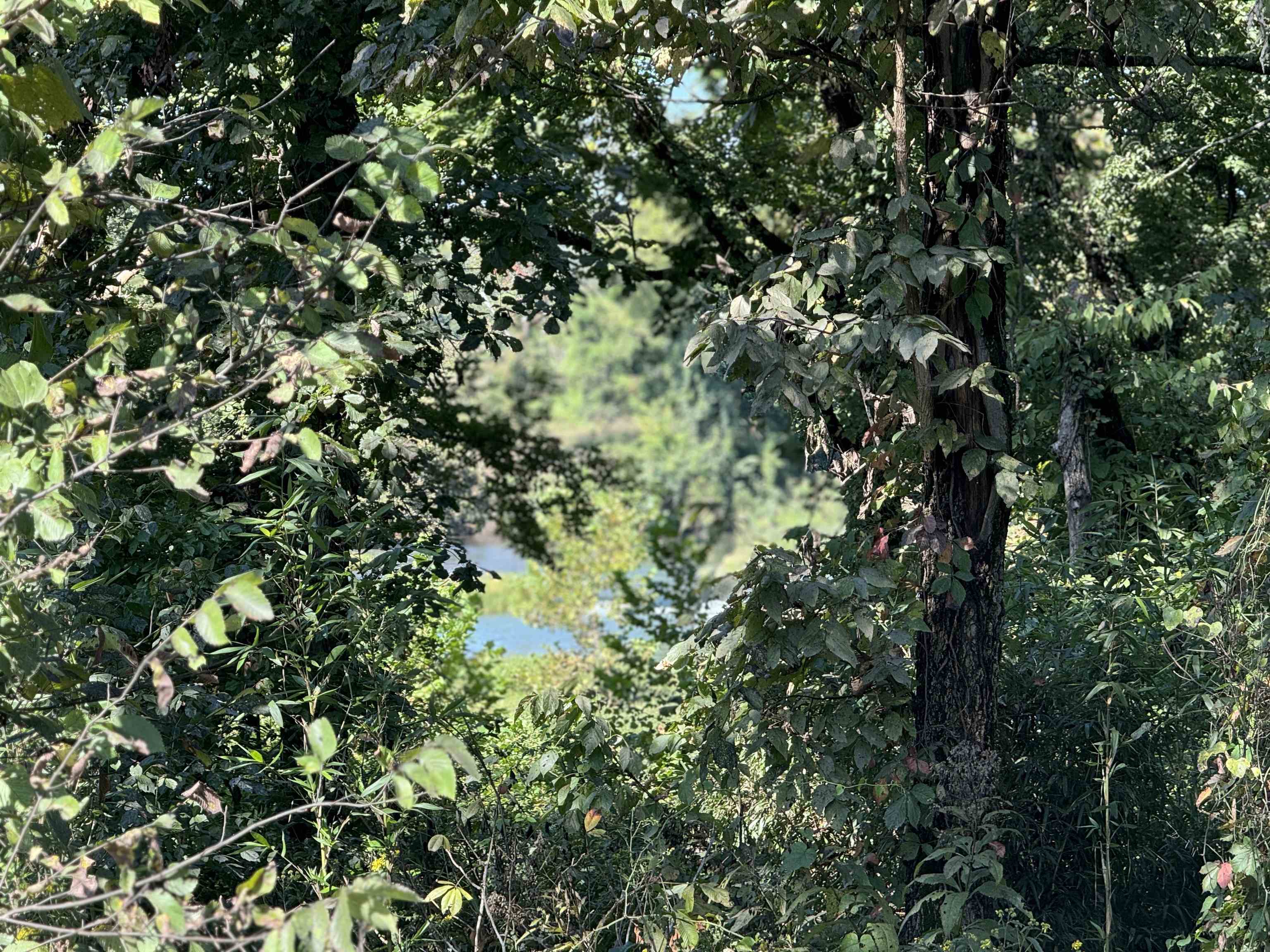 Tbd River Trace Property Photo 13