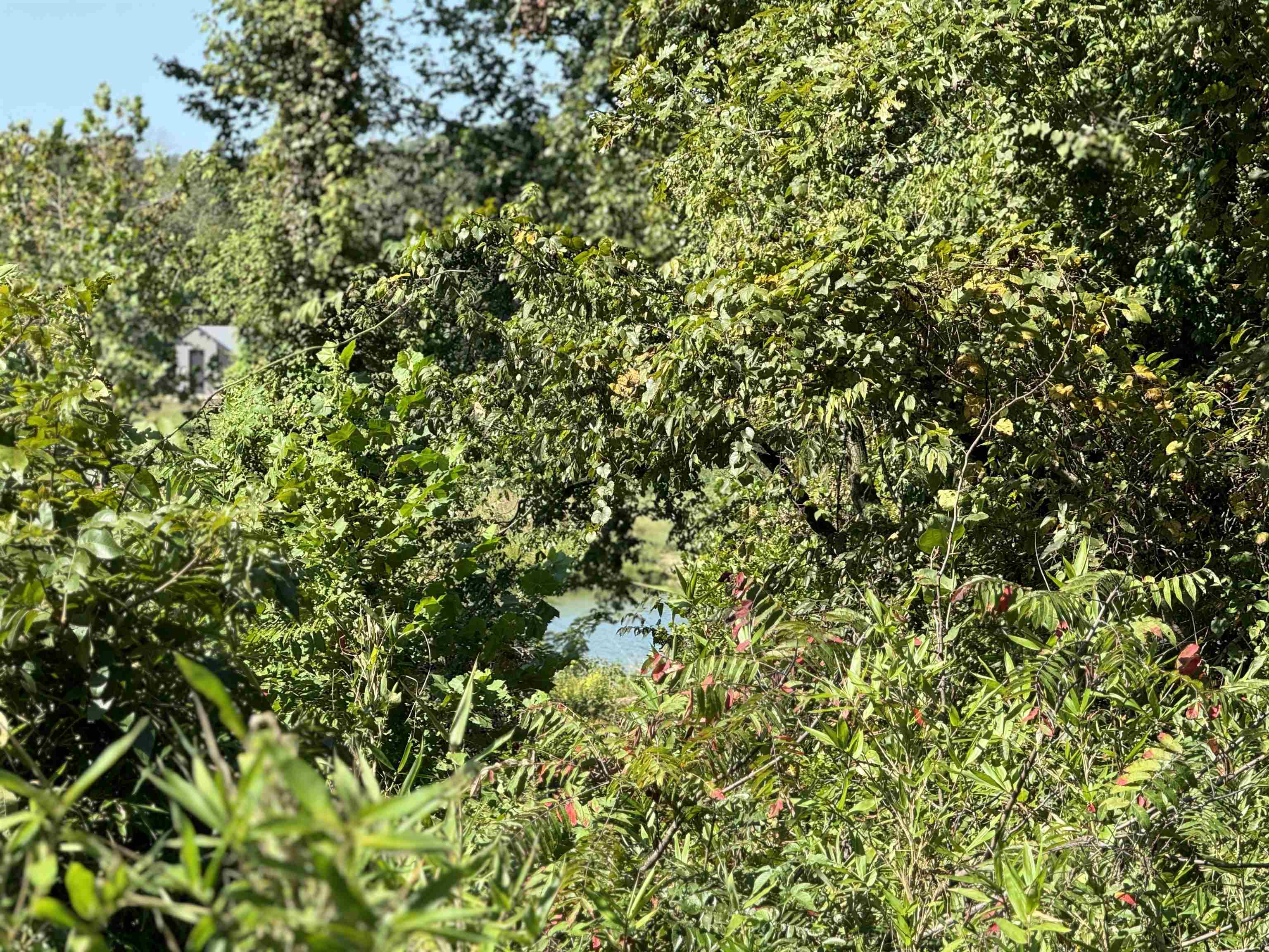 Tbd River Trace Property Photo 15