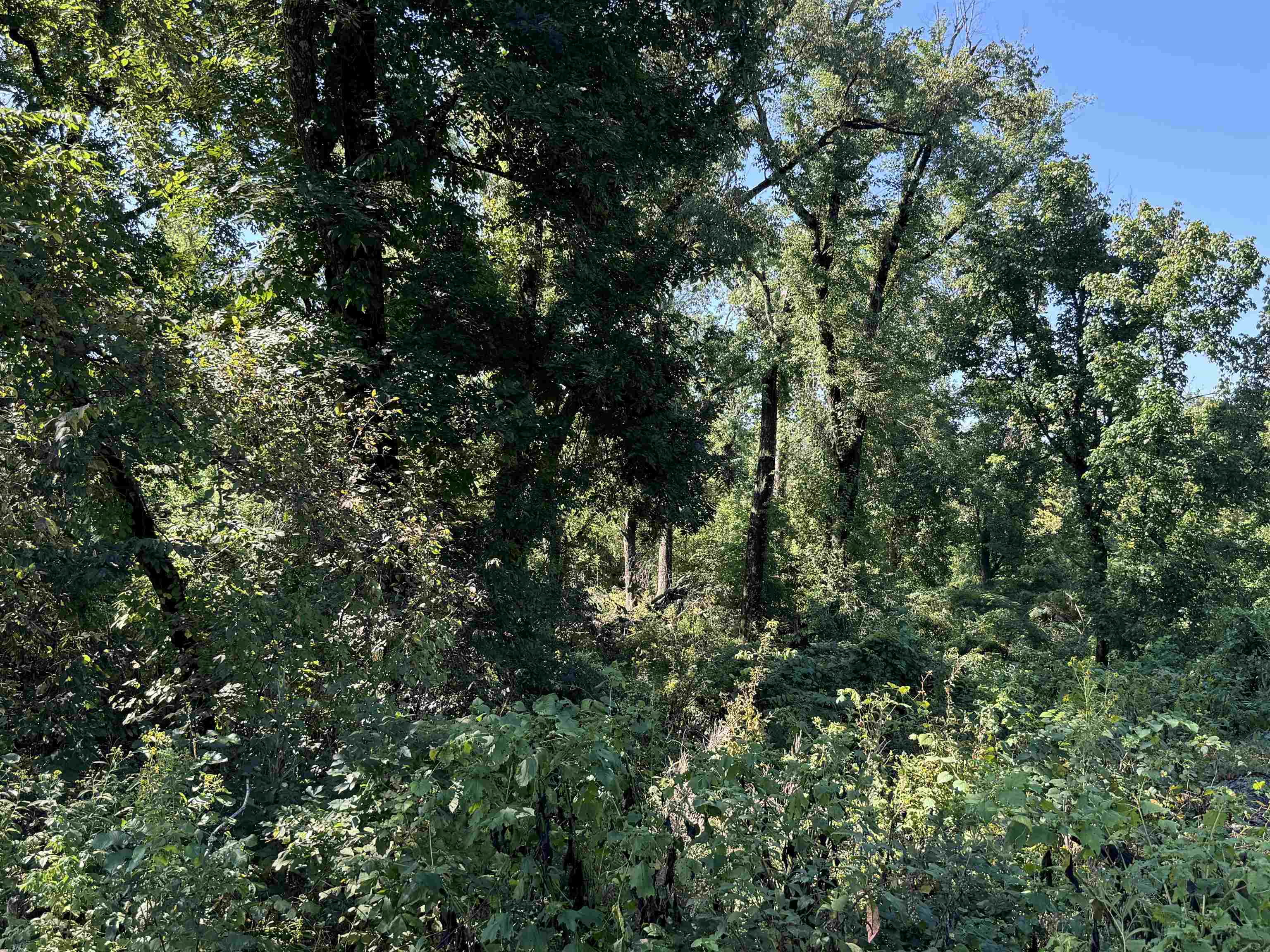 Tbd River Trace Property Photo 16