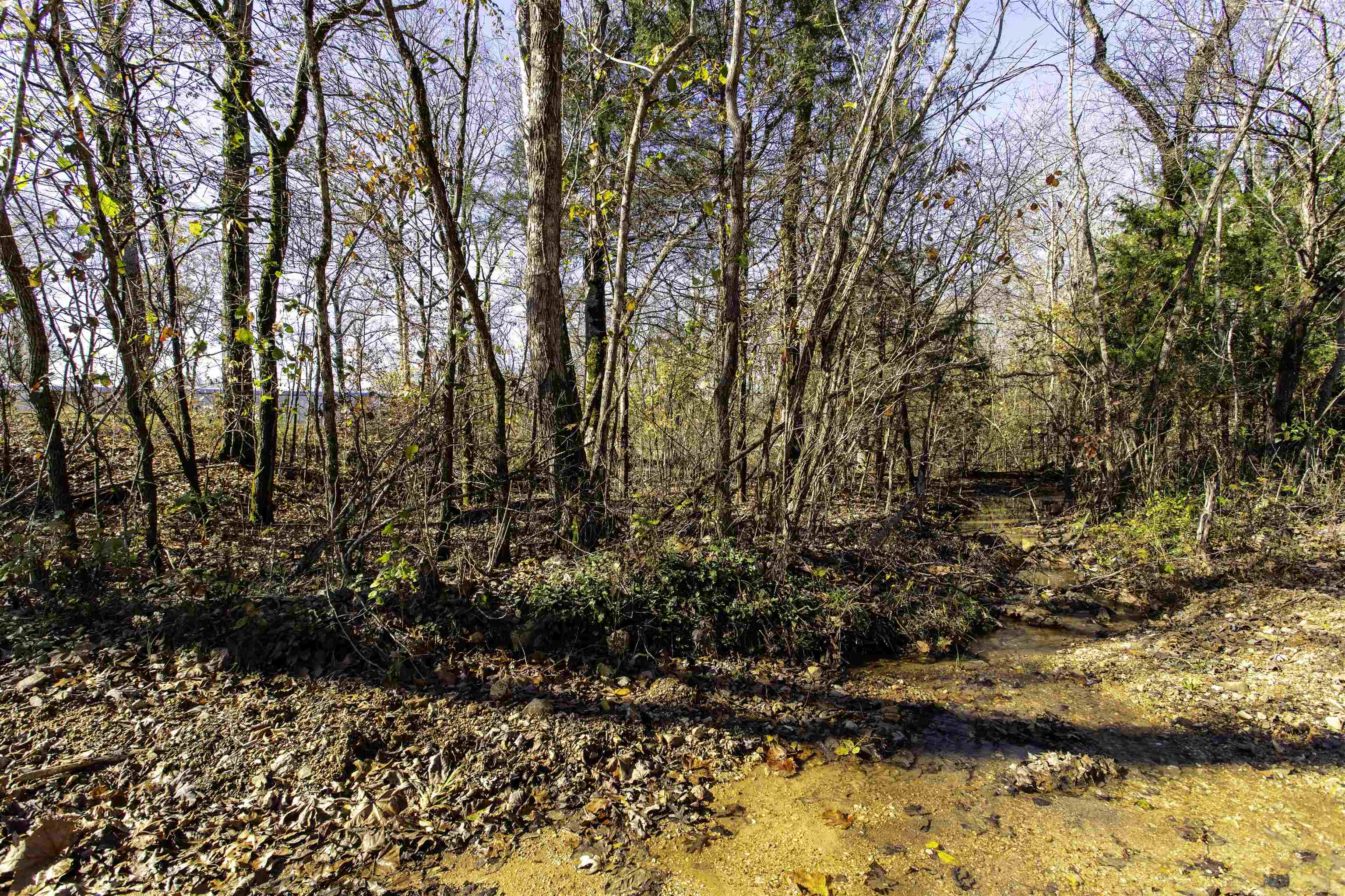 Tbd River Trace Property Photo 18