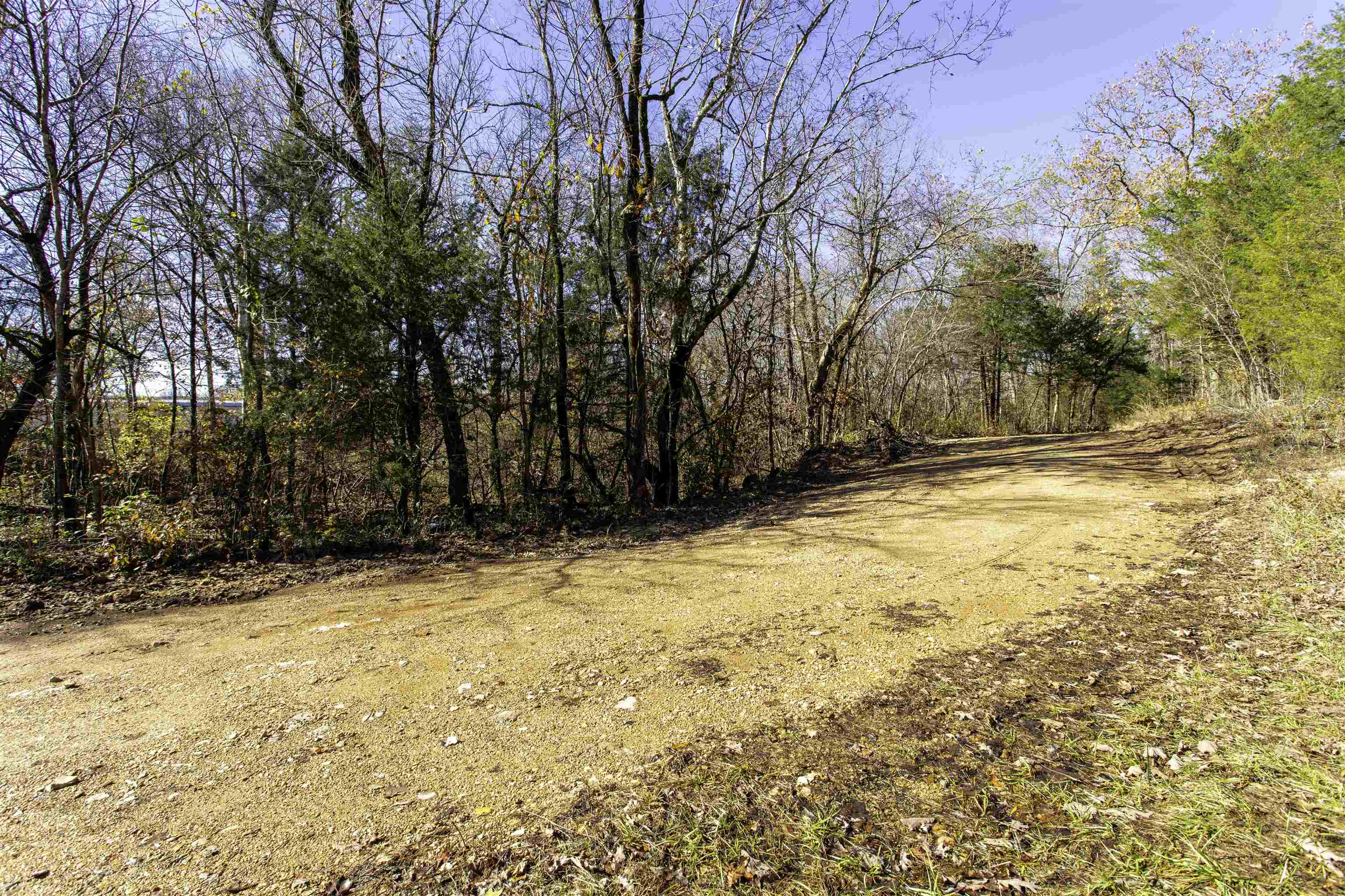 Tbd River Trace Property Photo 19