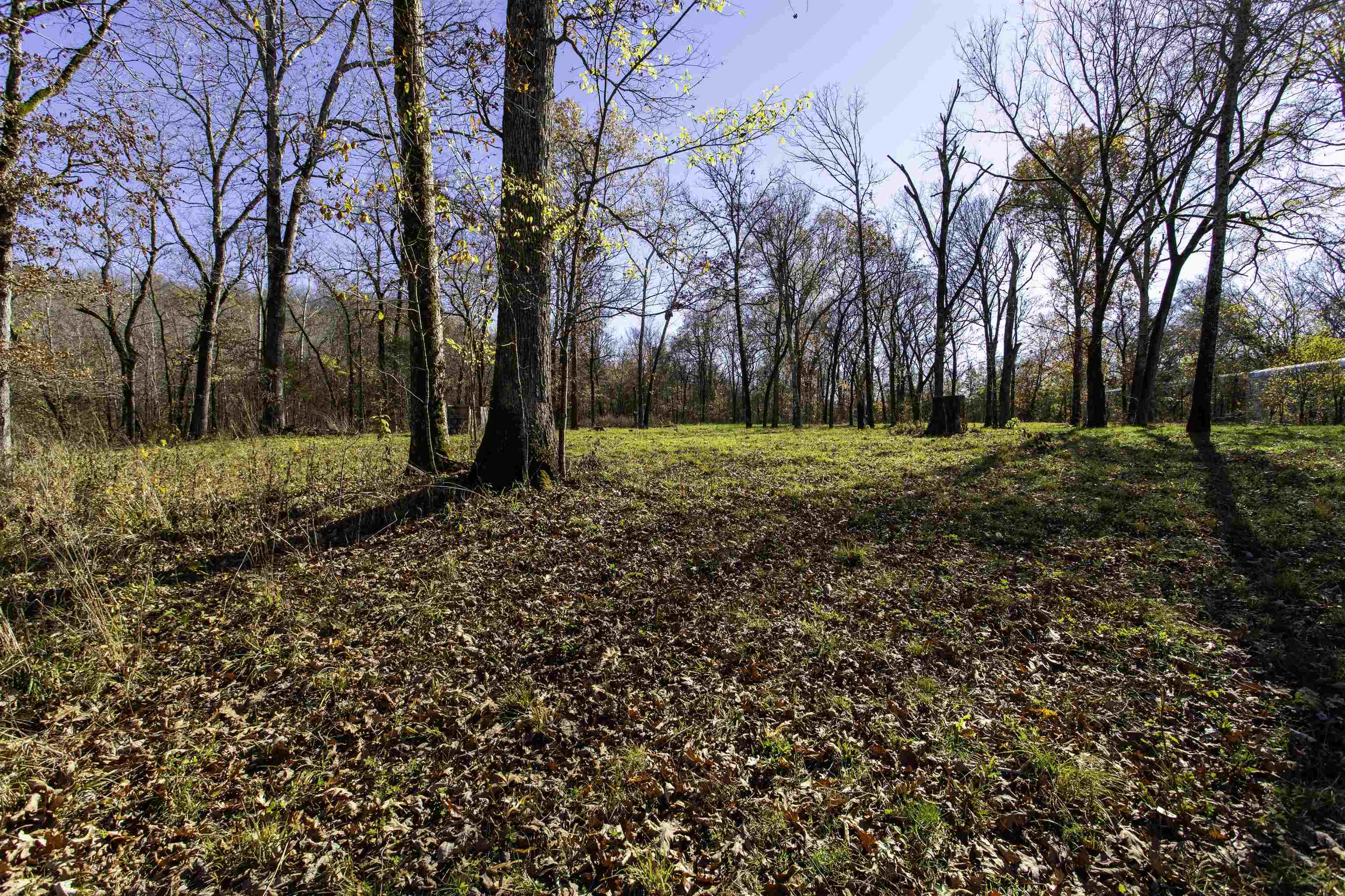 Tbd River Trace Property Photo 24