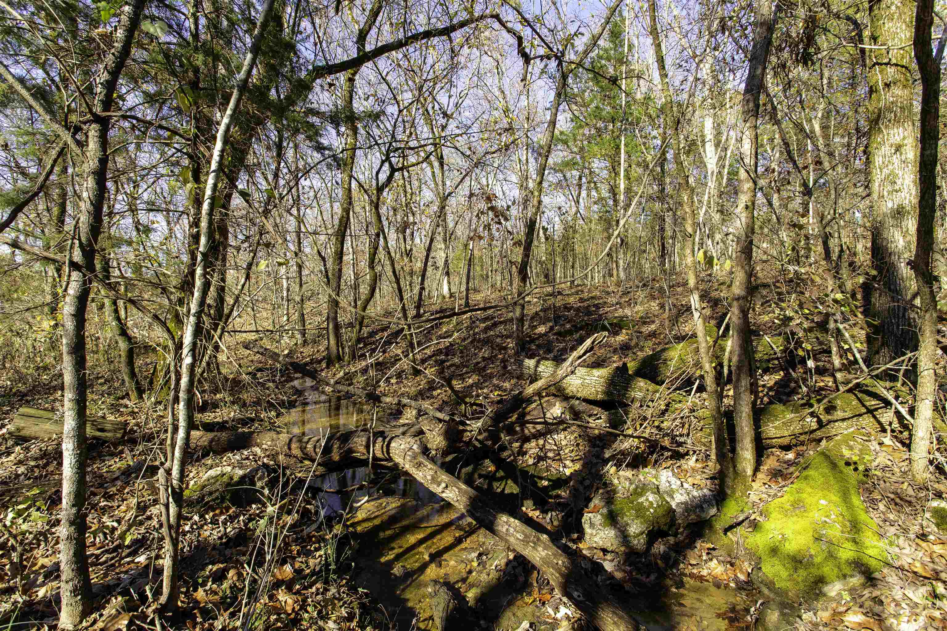 Tbd River Trace Property Photo 25