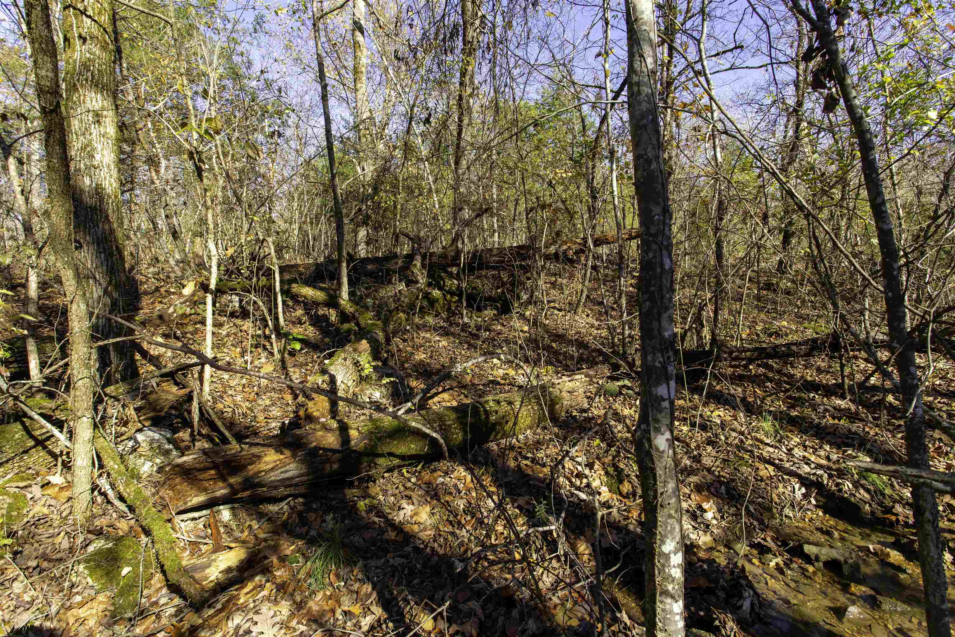 Tbd River Trace Property Photo 27