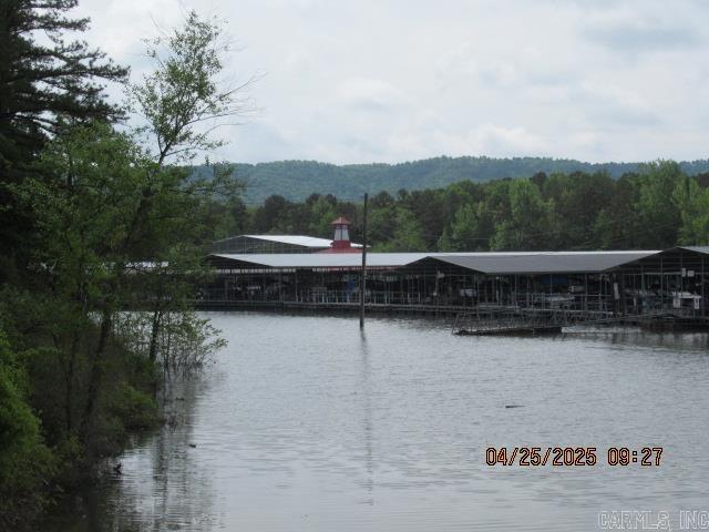 424 Highway 65 Business Highway Property Photo 29