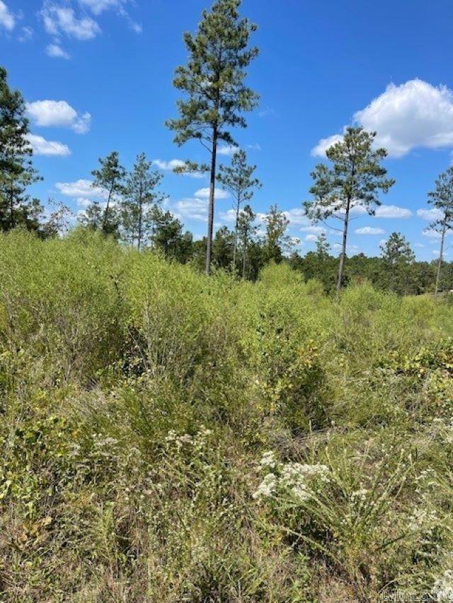 Lot 1br Hwy 298 Property Photo 1