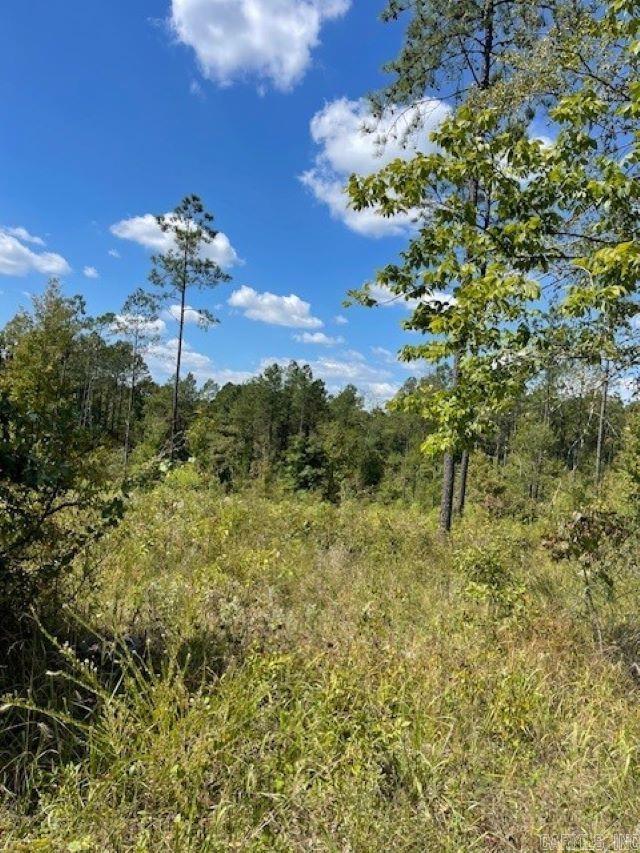 Lot 1ar Hwy 298 Property Photo 2