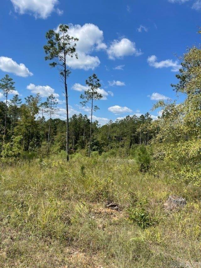 Lot 1ar Hwy 298 Property Photo 3