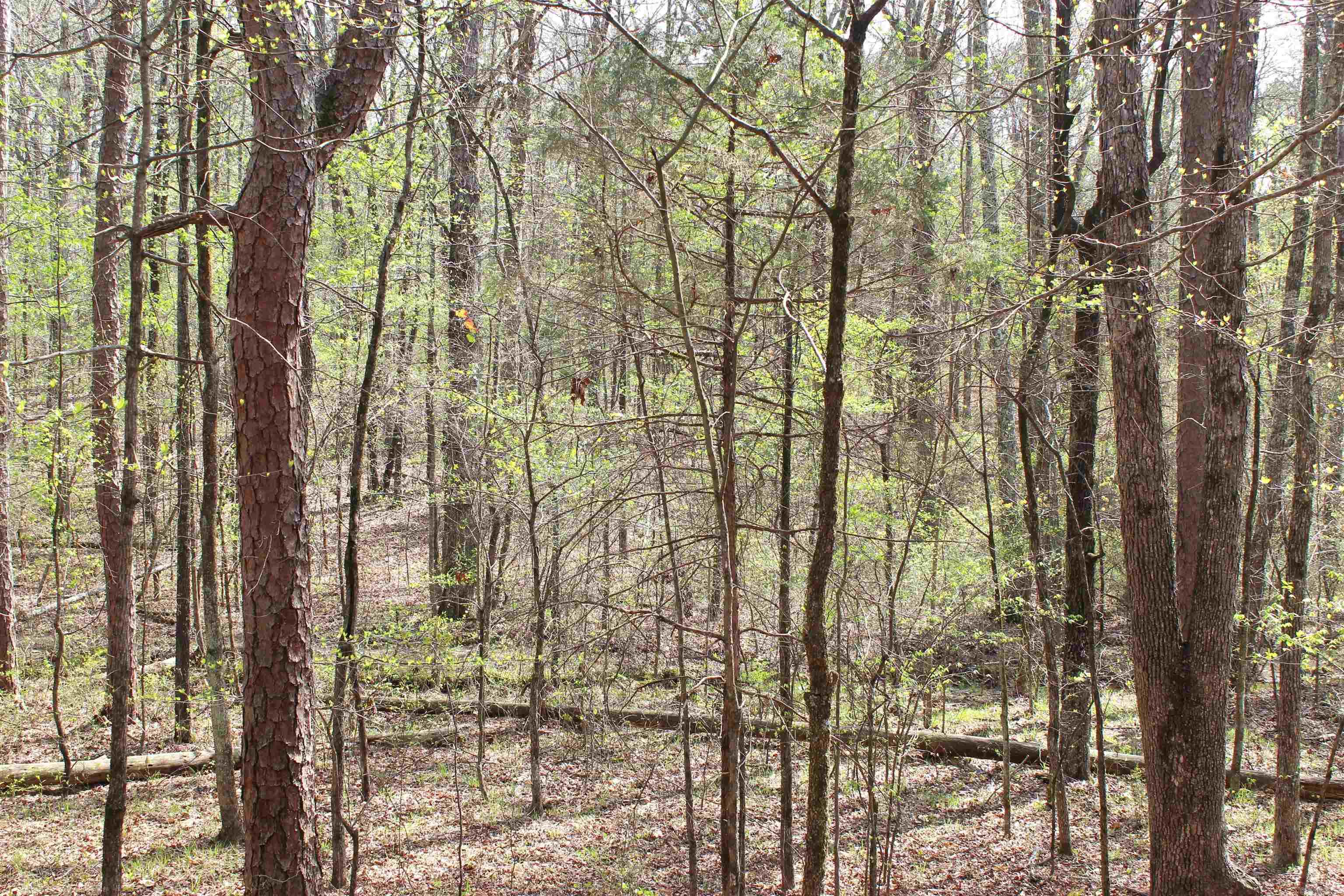001 S Stacy Springs Road Property Photo 8