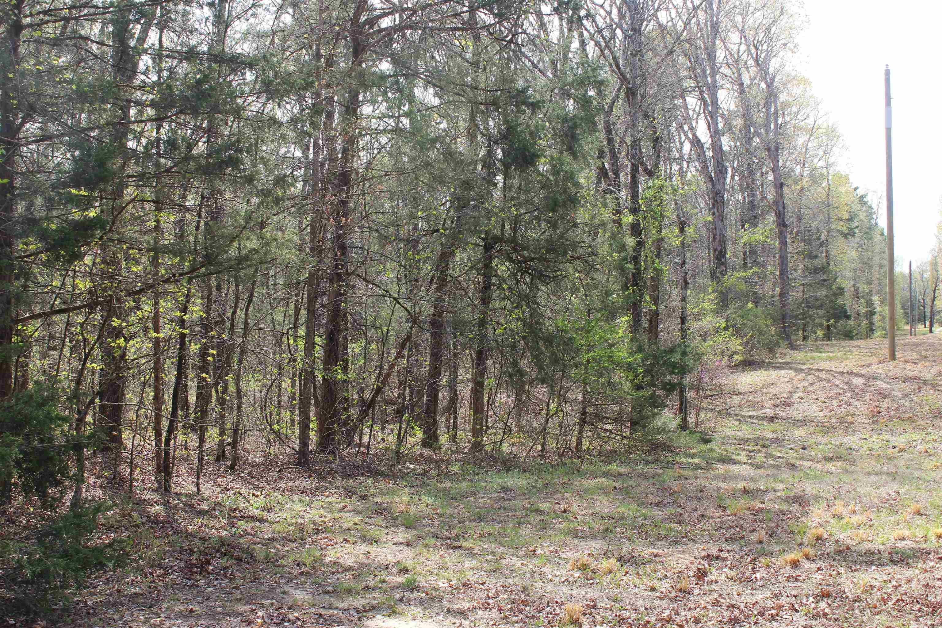 001 S Stacy Springs Road Property Photo 10