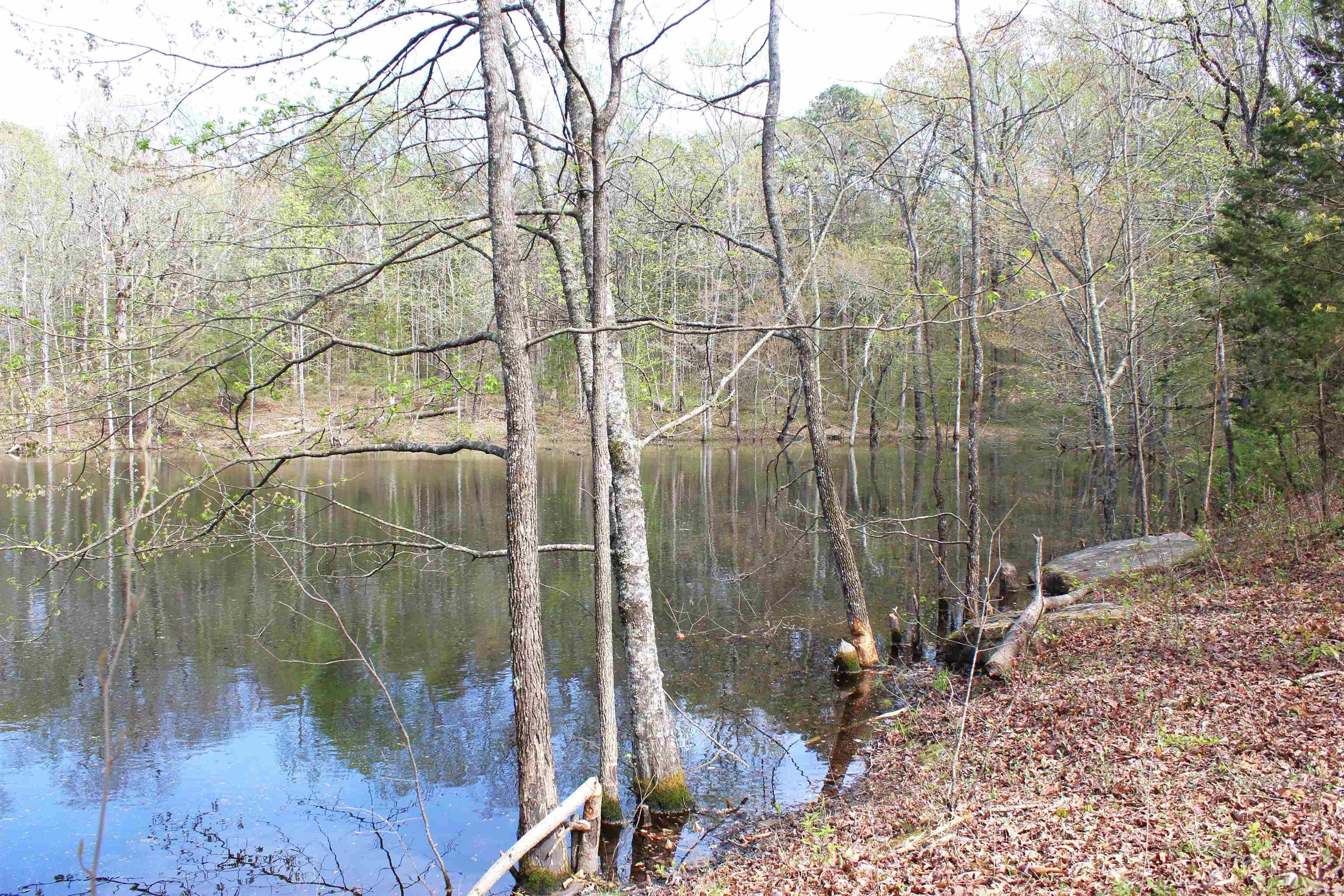 001 S Stacy Springs Road Property Photo 14