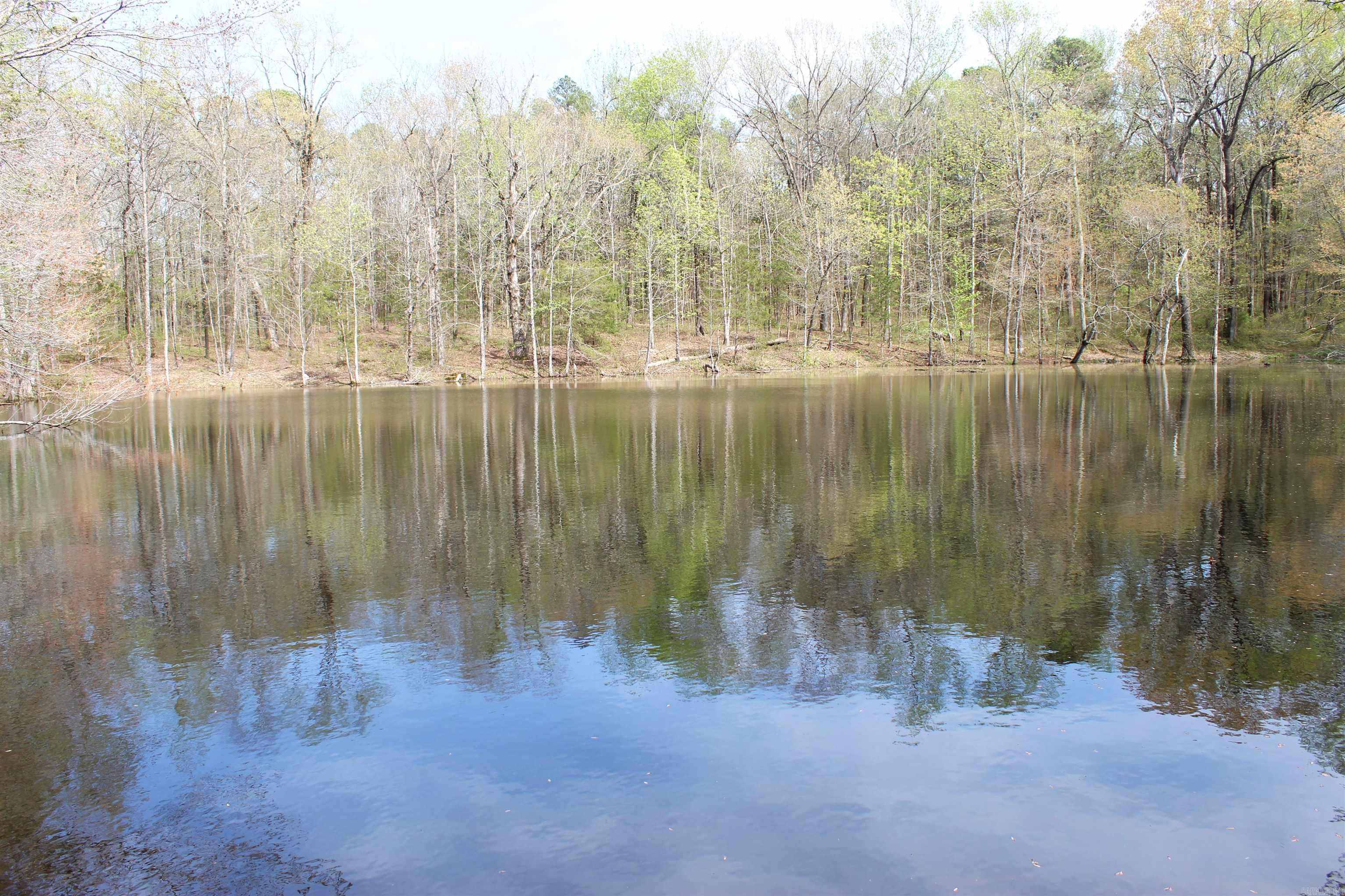 001 S Stacy Springs Road Property Photo 15